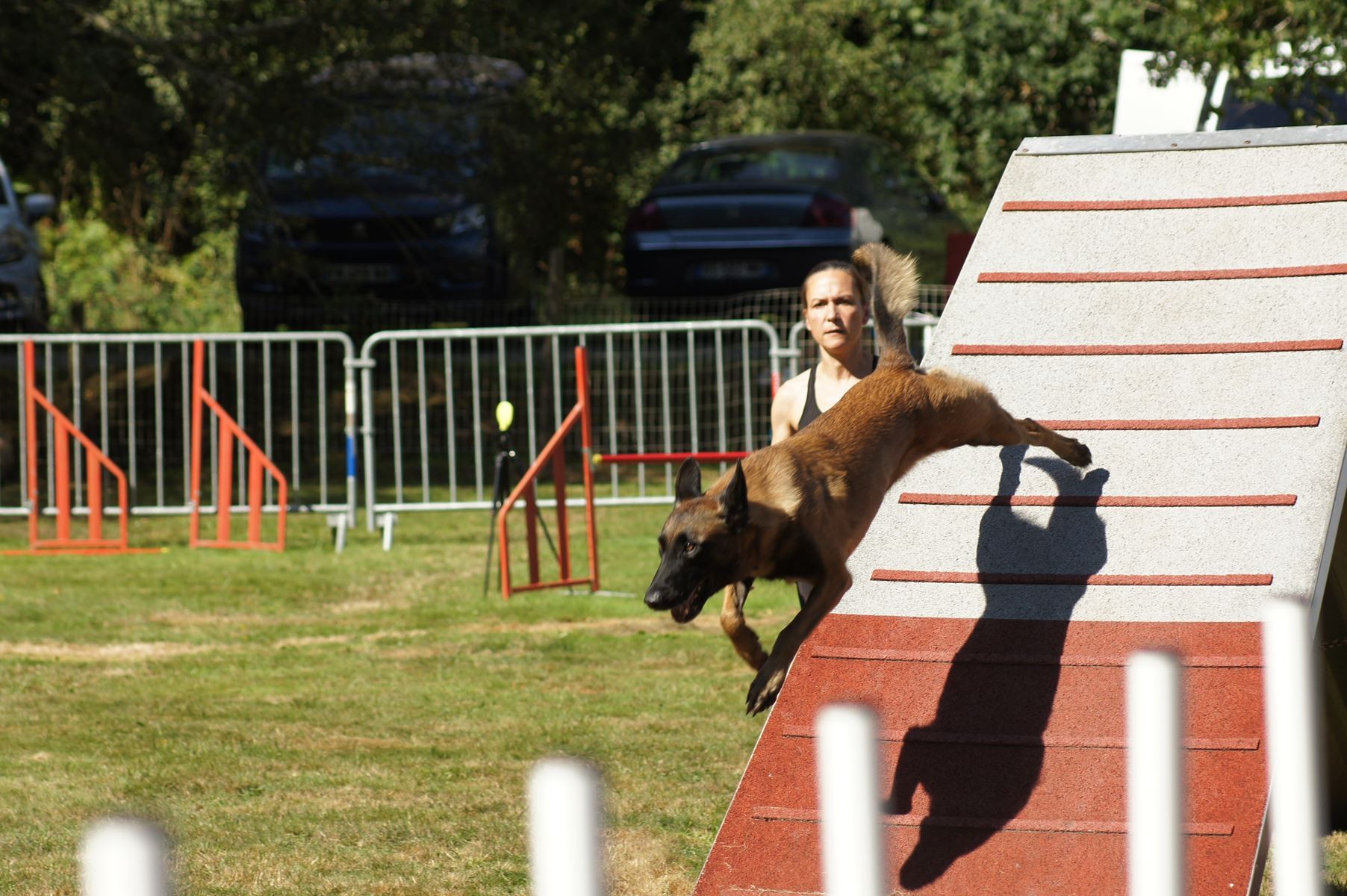  CONCOURS AGILITY 28 AOÛT 2022