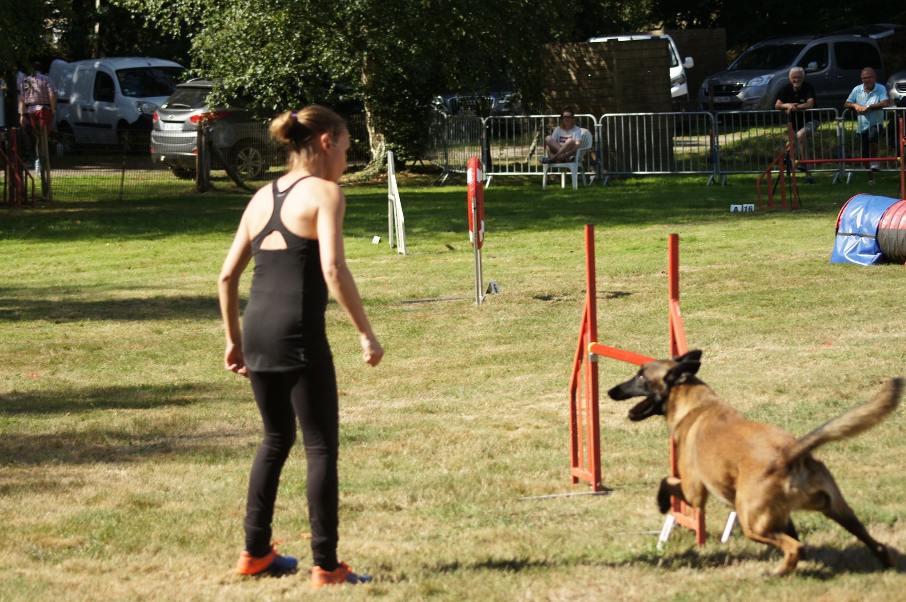  CONCOURS AGILITY 28 AOÛT 2022