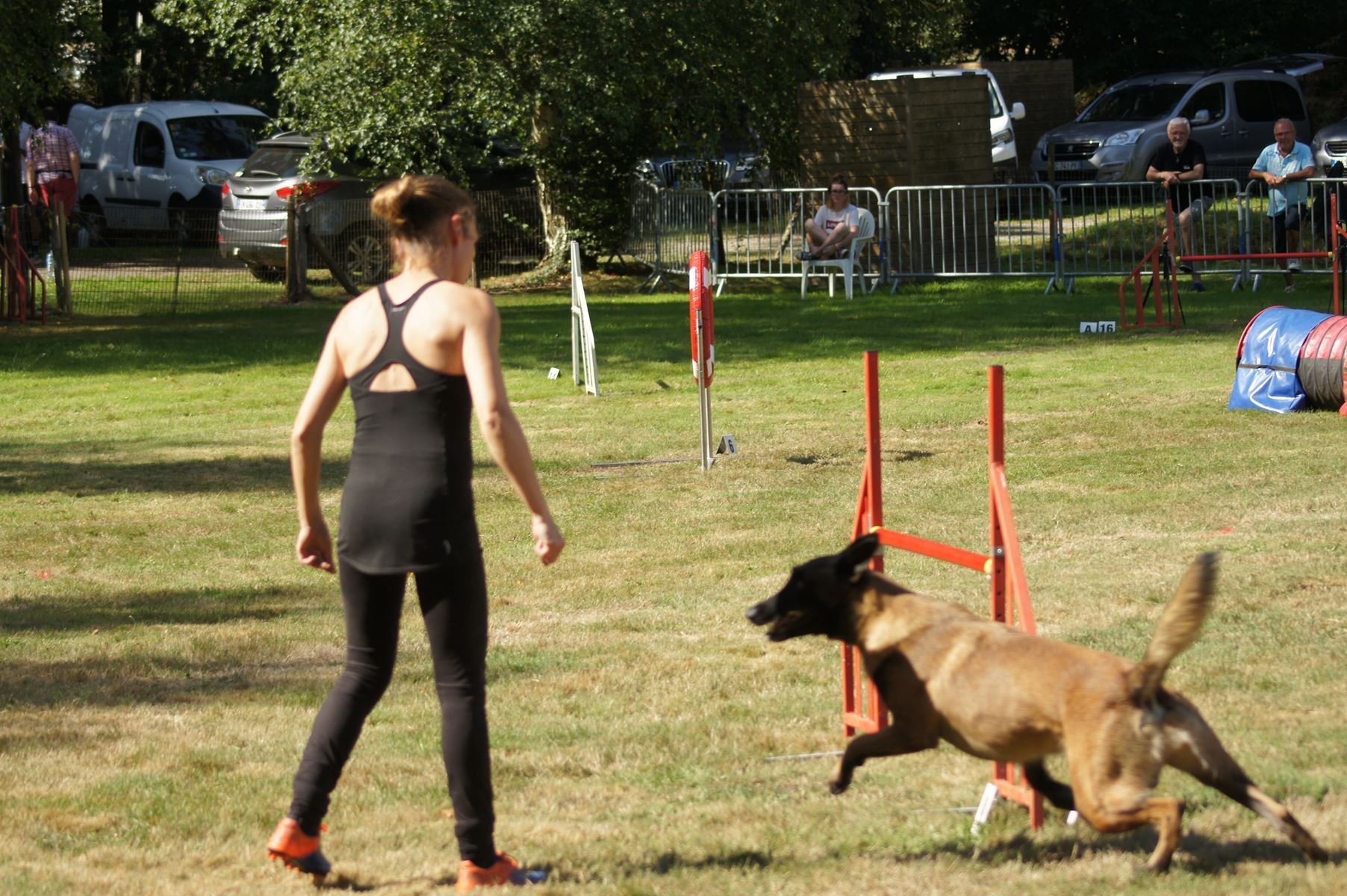  CONCOURS AGILITY 28 AOÛT 2022