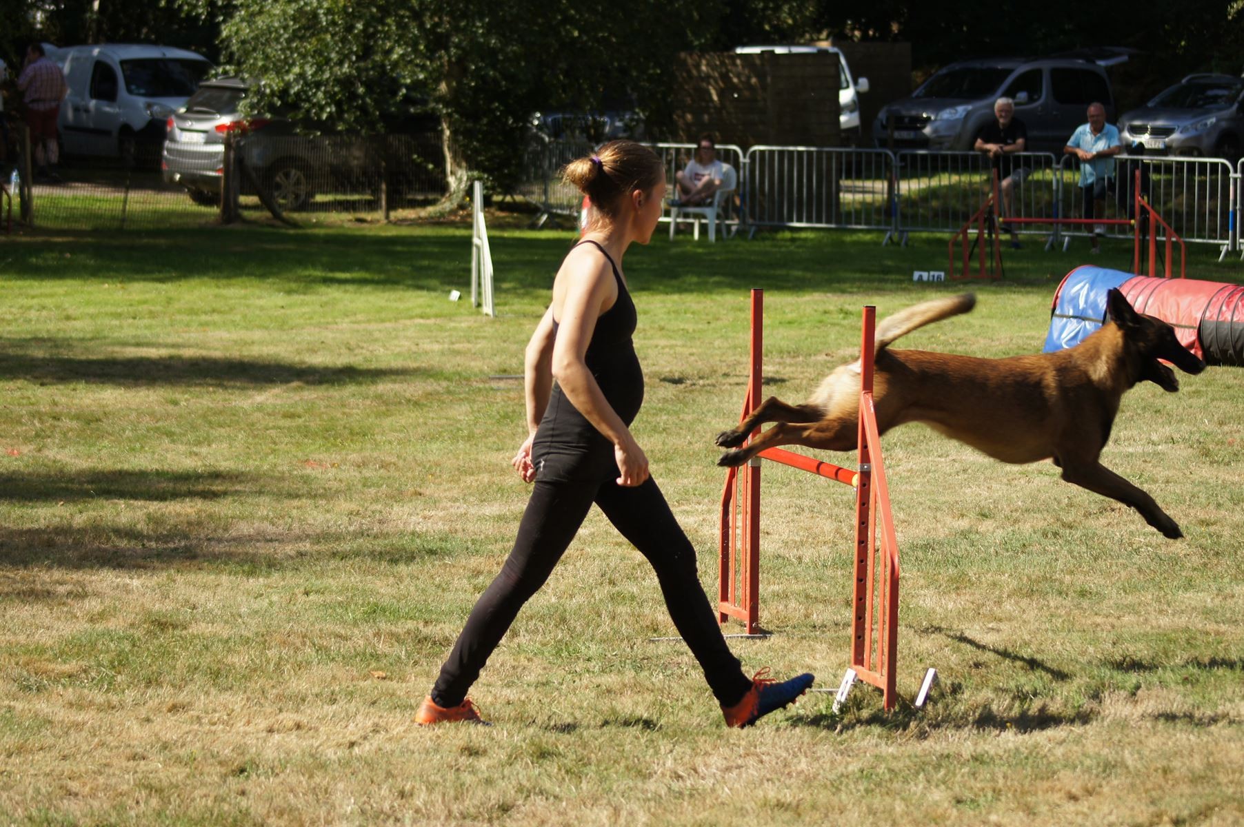  CONCOURS AGILITY 28 AOÛT 2022