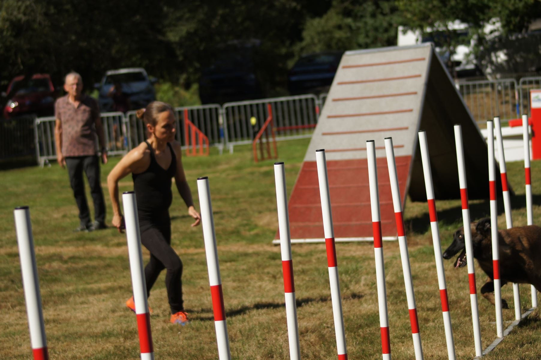  CONCOURS AGILITY 28 AOÛT 2022