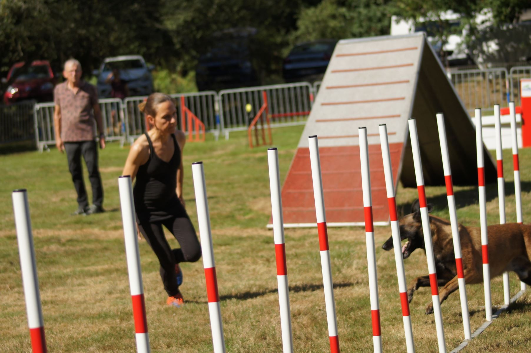  CONCOURS AGILITY 28 AOÛT 2022