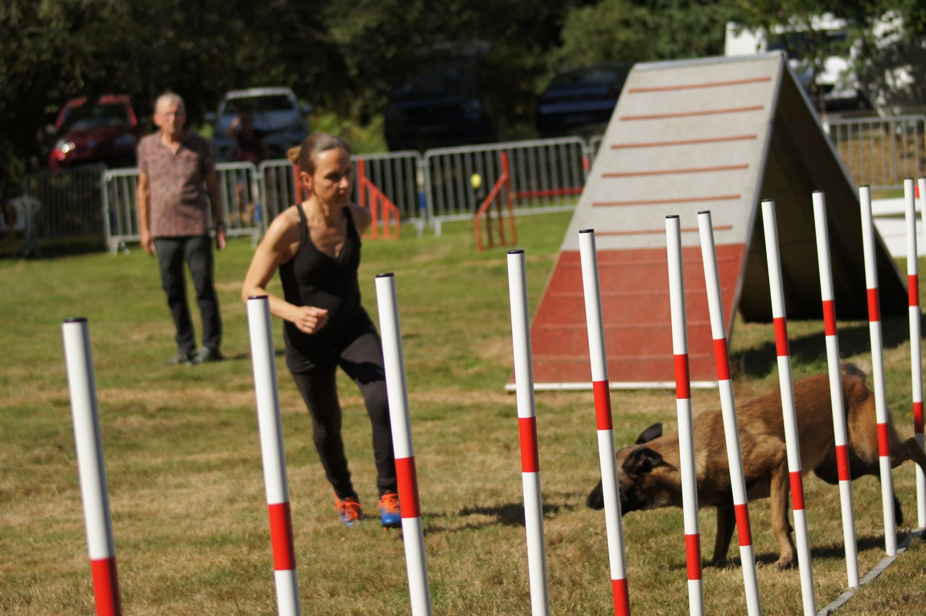  CONCOURS AGILITY 28 AOÛT 2022