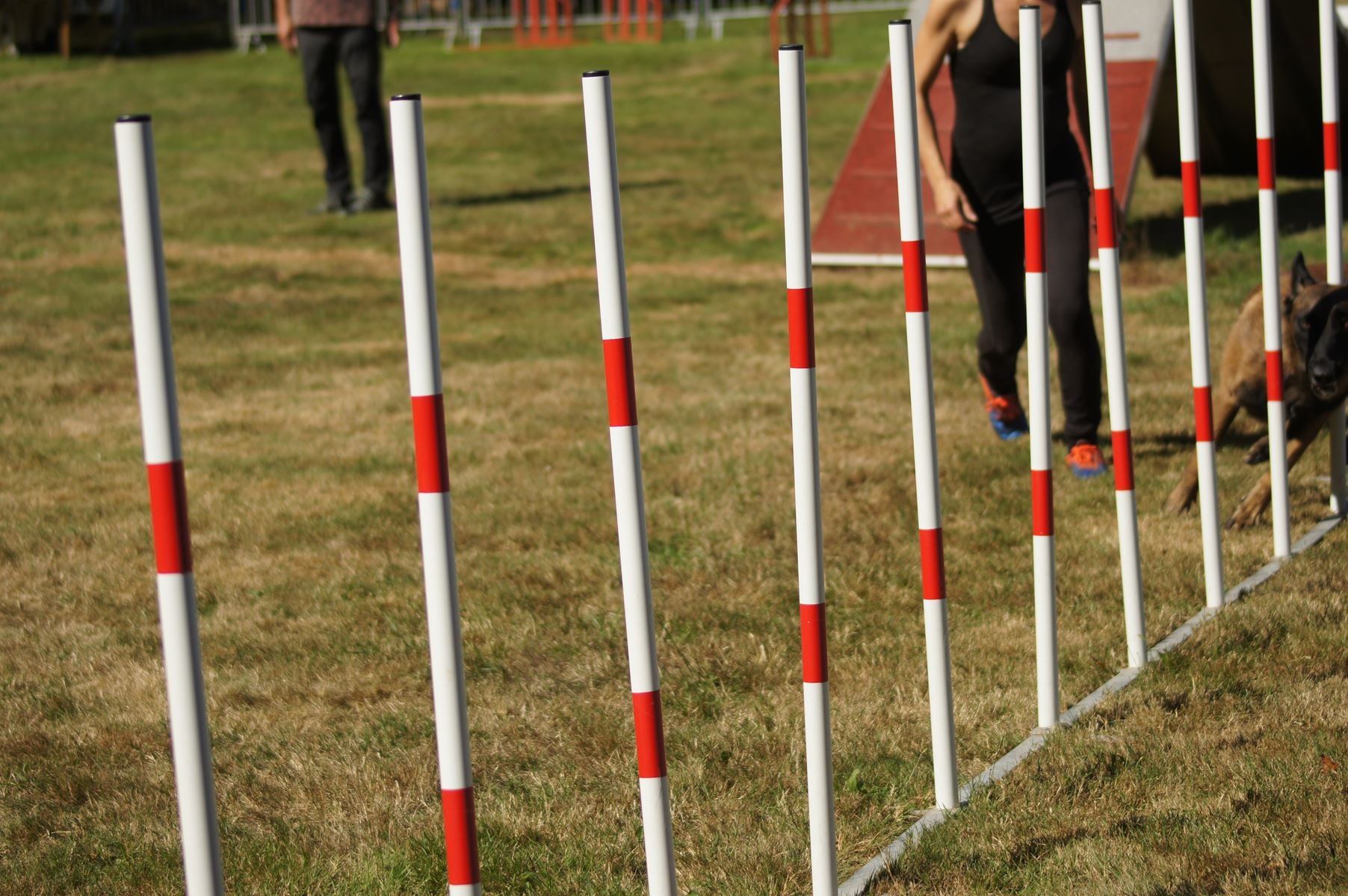  CONCOURS AGILITY 28 AOÛT 2022