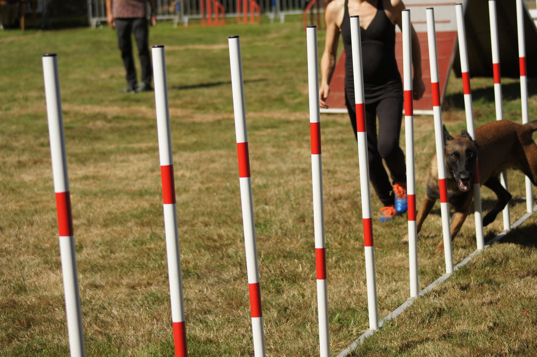  CONCOURS AGILITY 28 AOÛT 2022