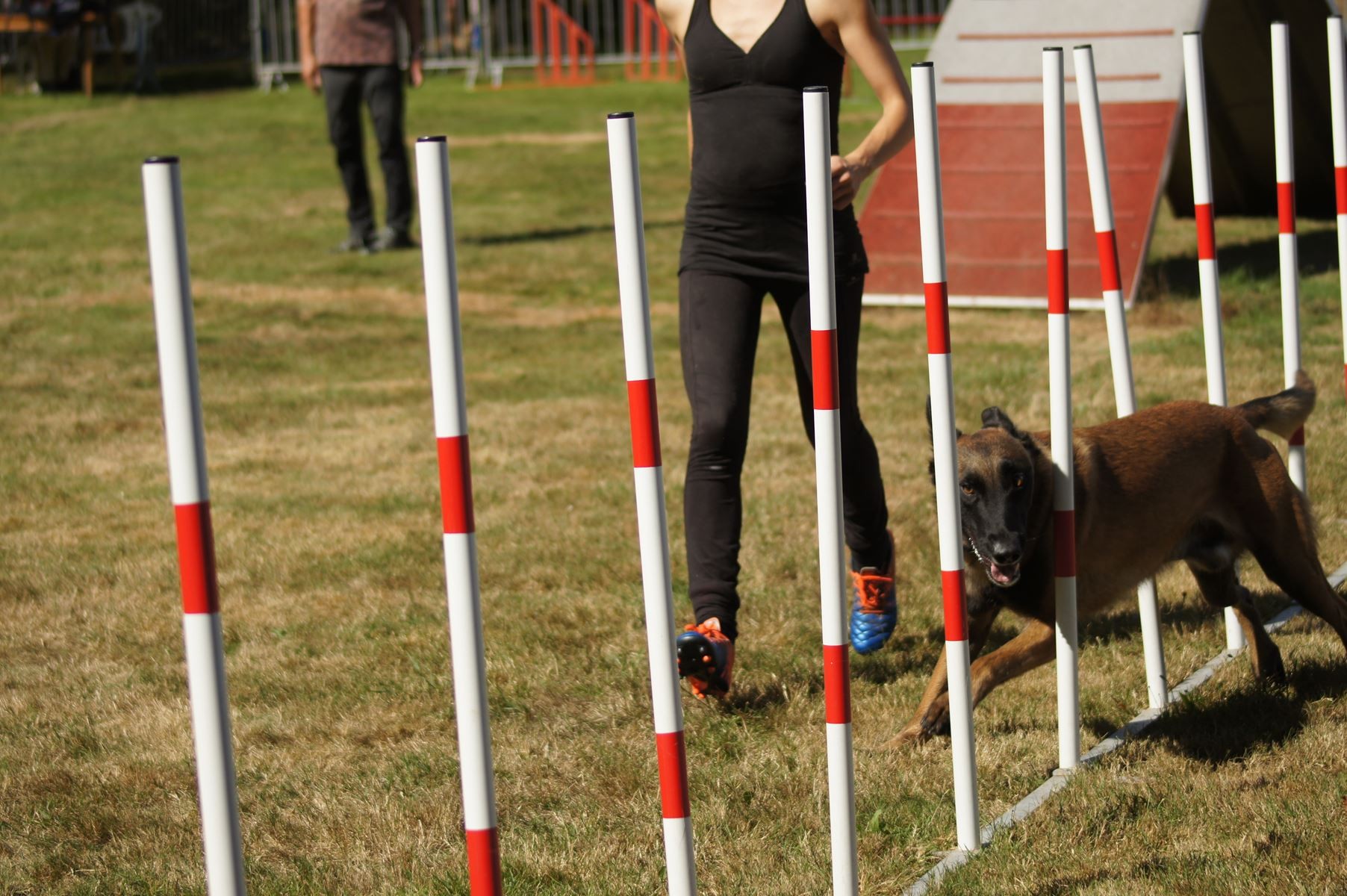  CONCOURS AGILITY 28 AOÛT 2022