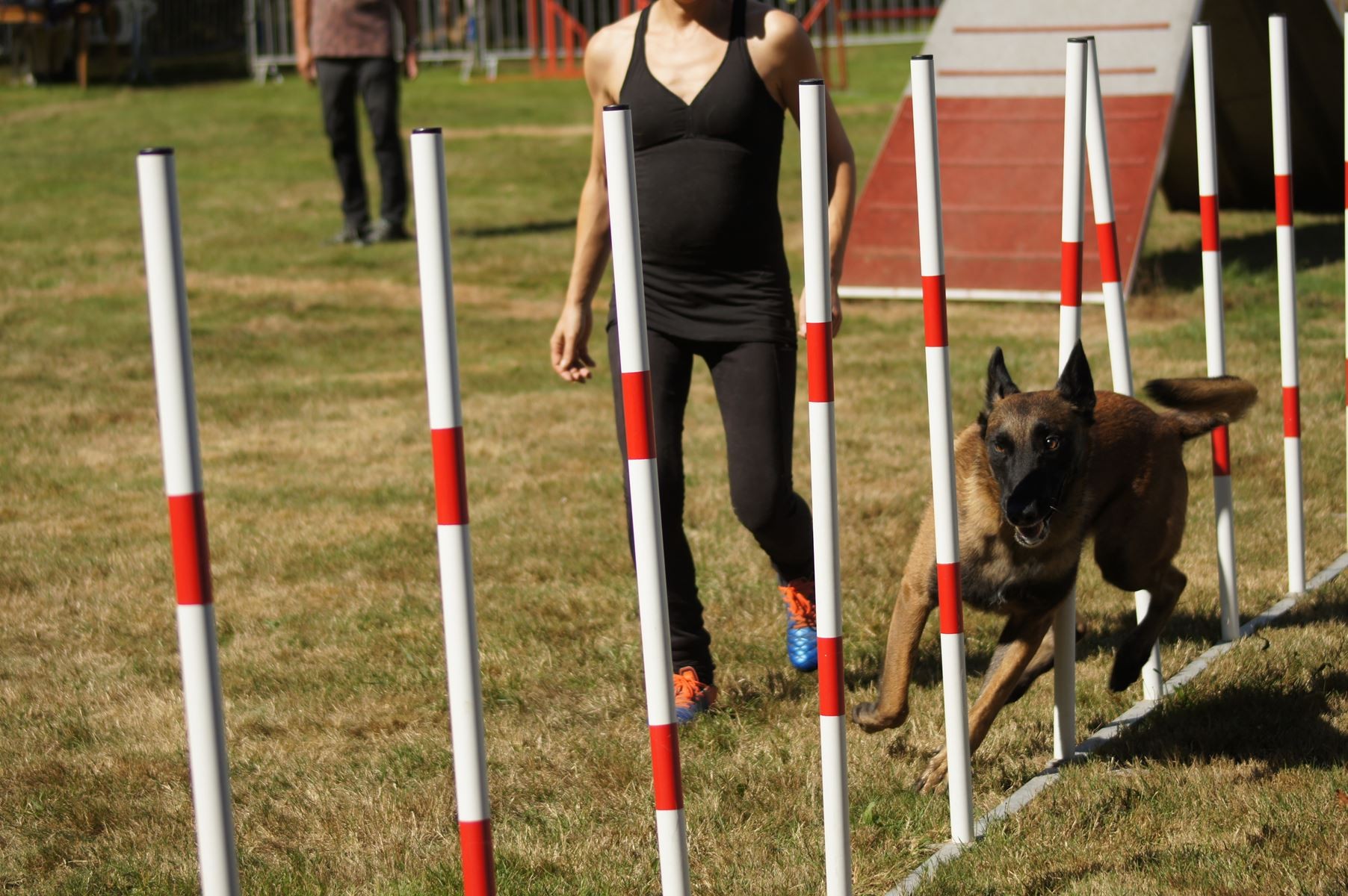  CONCOURS AGILITY 28 AOÛT 2022