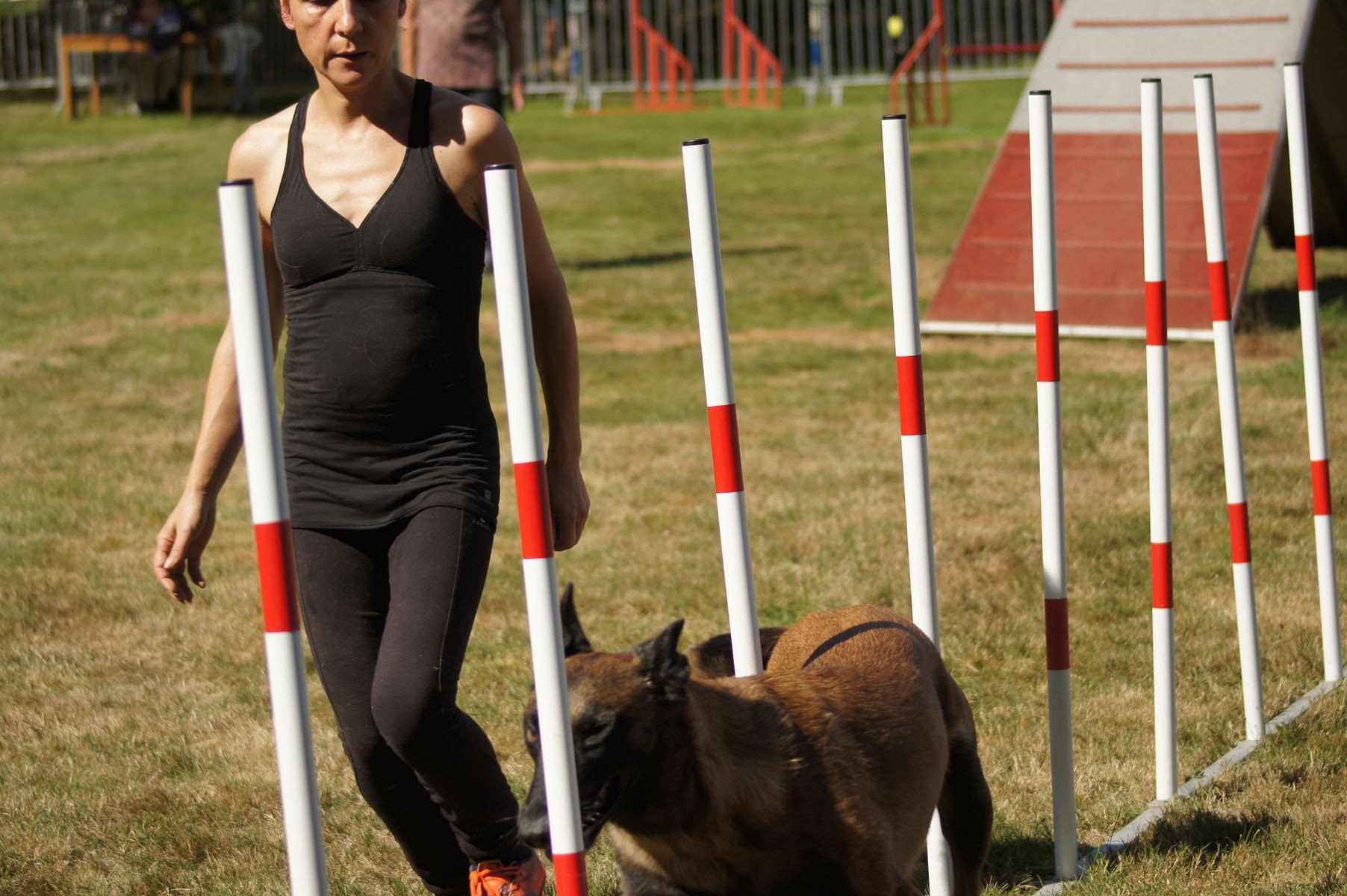  CONCOURS AGILITY 28 AOÛT 2022