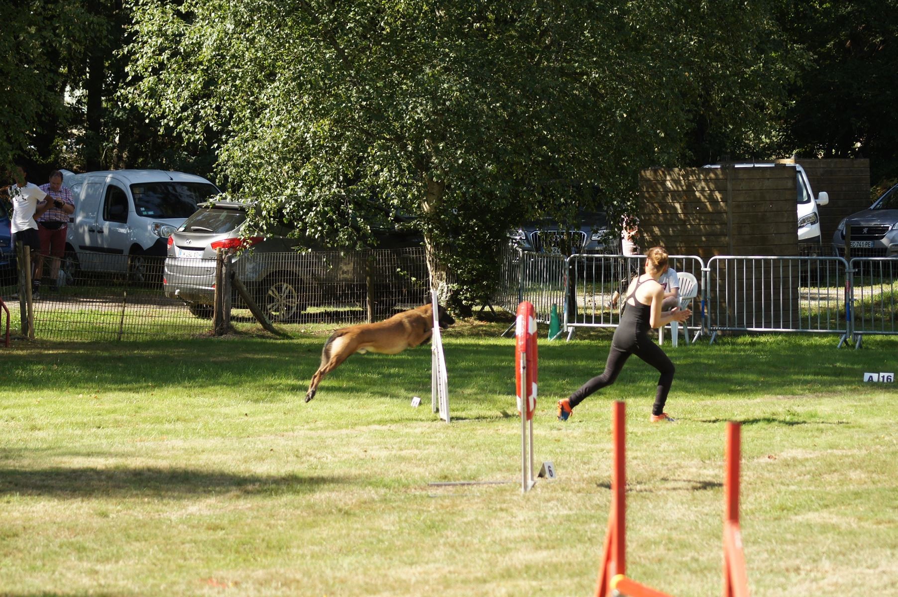  CONCOURS AGILITY 28 AOÛT 2022