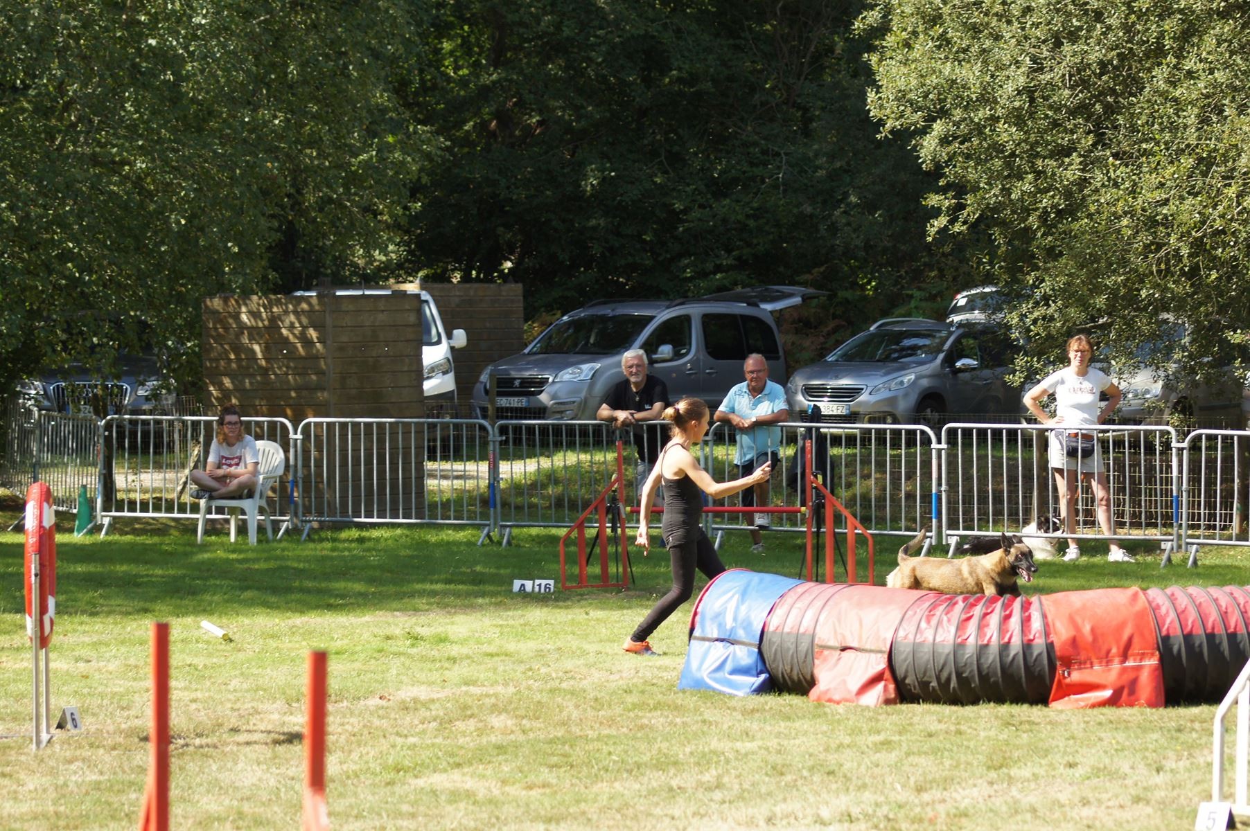  CONCOURS AGILITY 28 AOÛT 2022