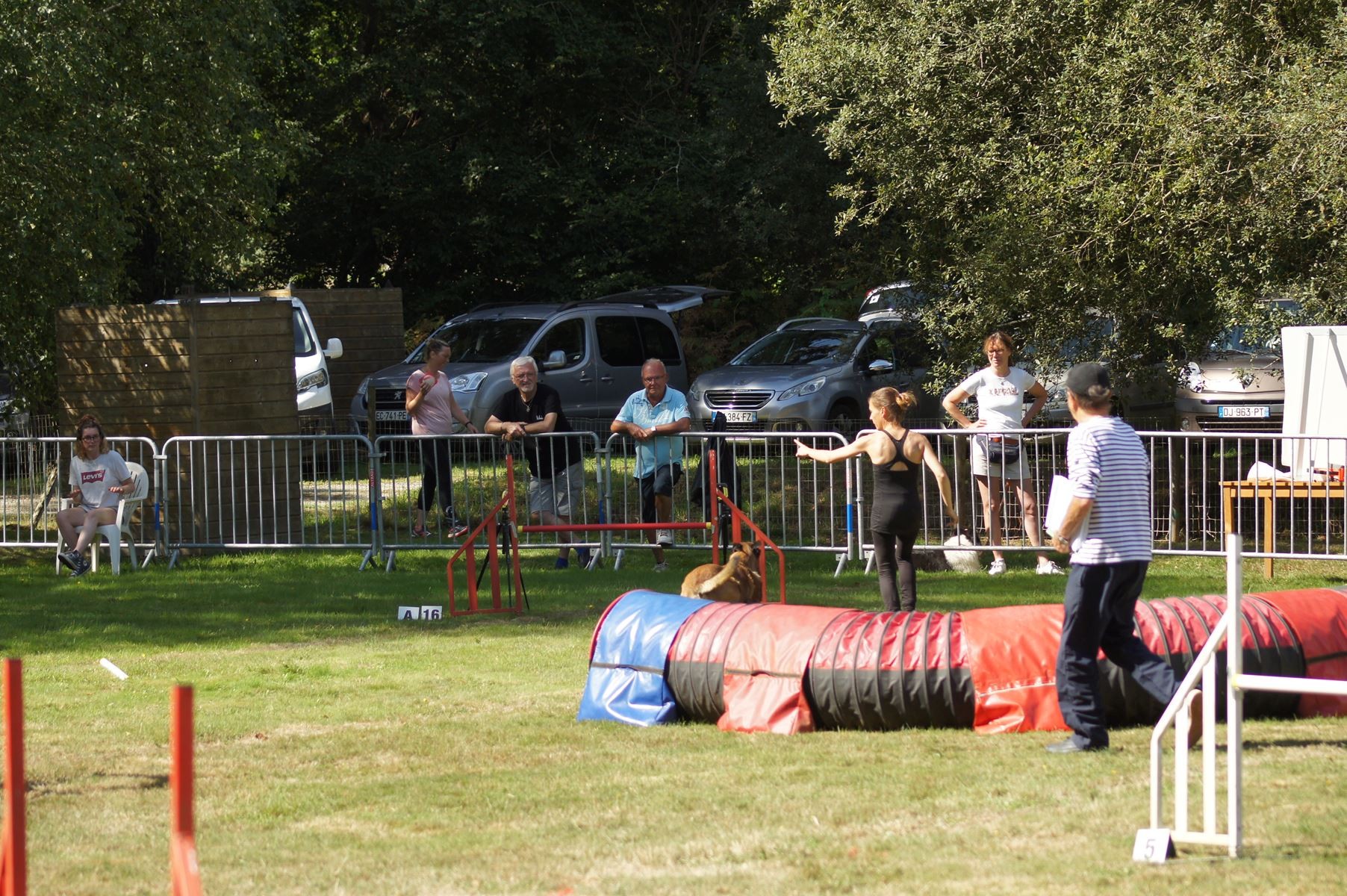  CONCOURS AGILITY 28 AOÛT 2022