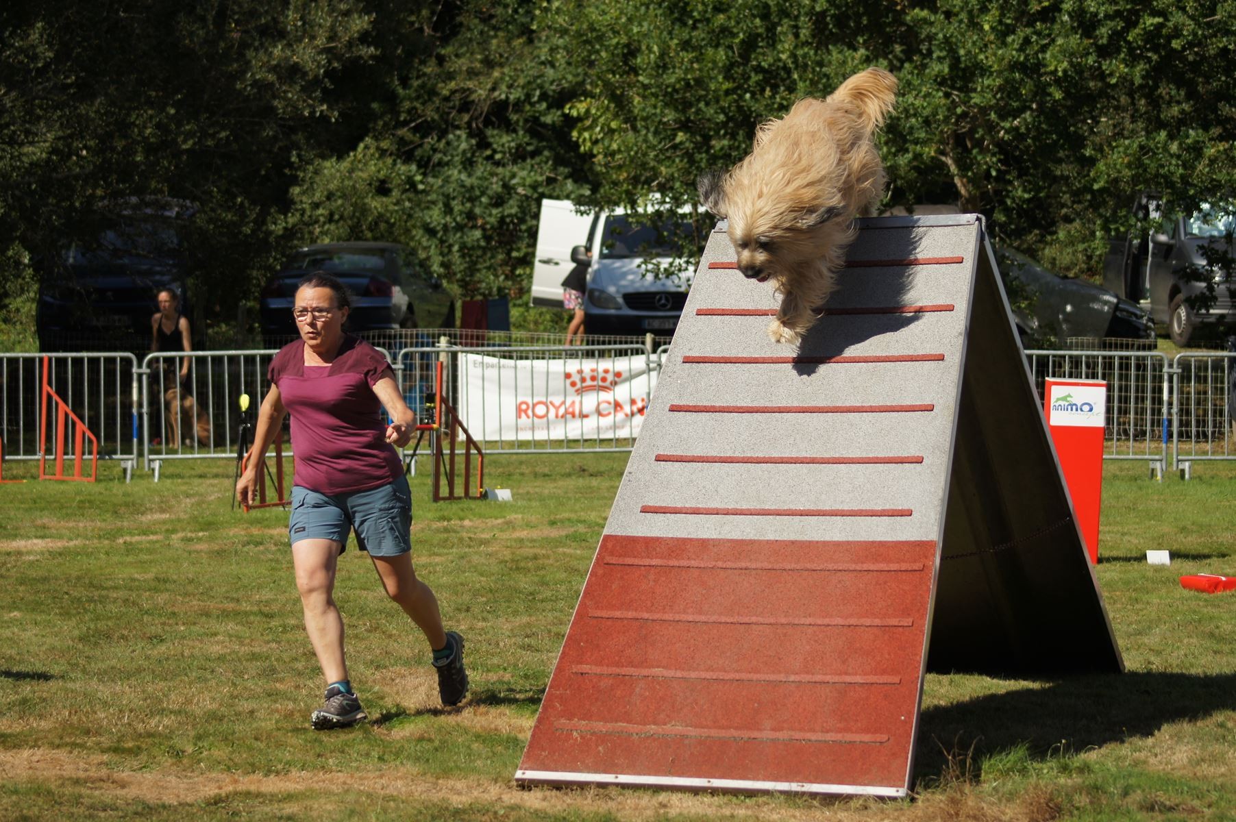 CONCOURS AGILITY 28 AOÛT 2022