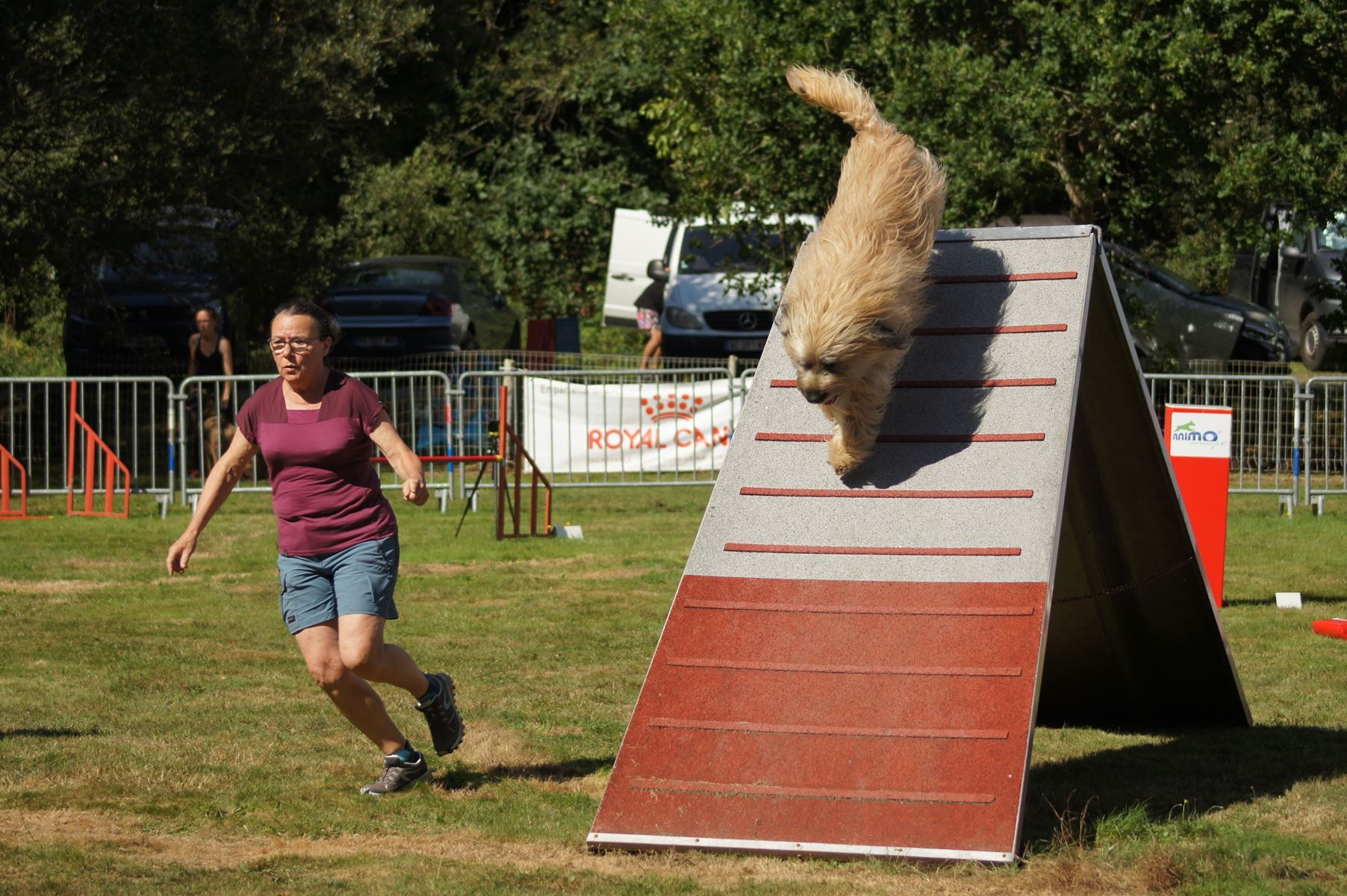 CONCOURS AGILITY 28 AOÛT 2022