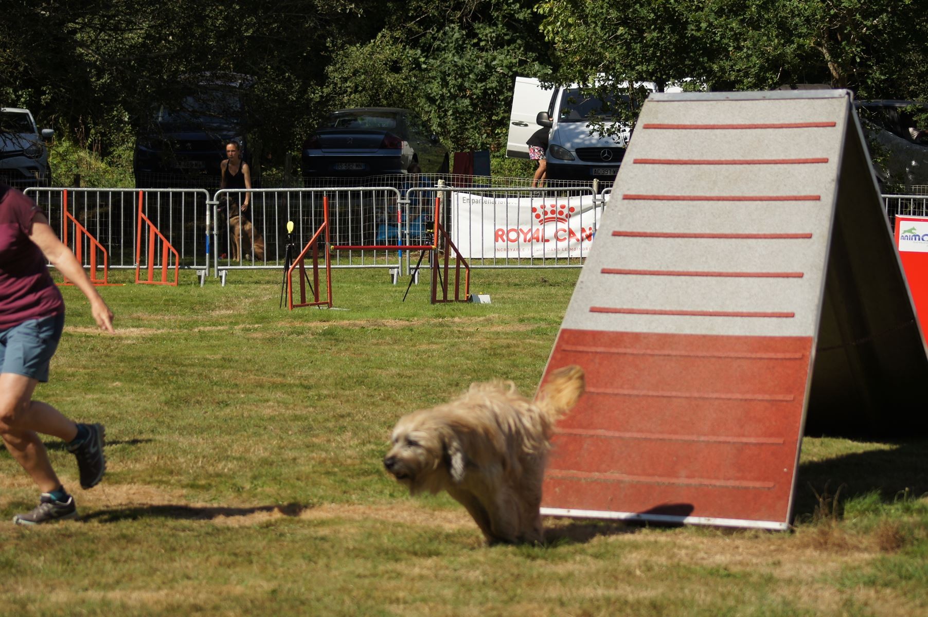 CONCOURS AGILITY 28 AOÛT 2022