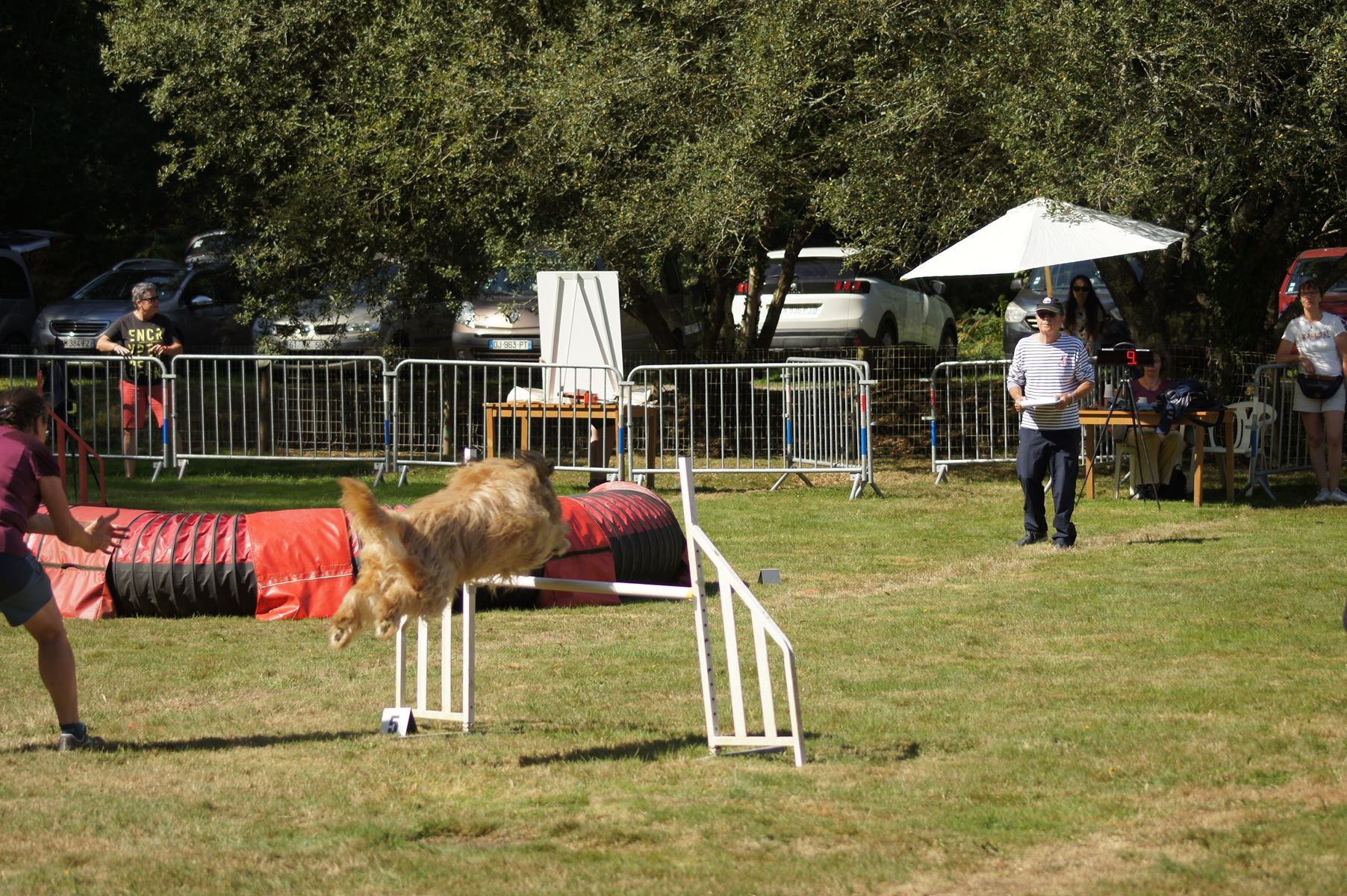 CONCOURS AGILITY 28 AOÛT 2022