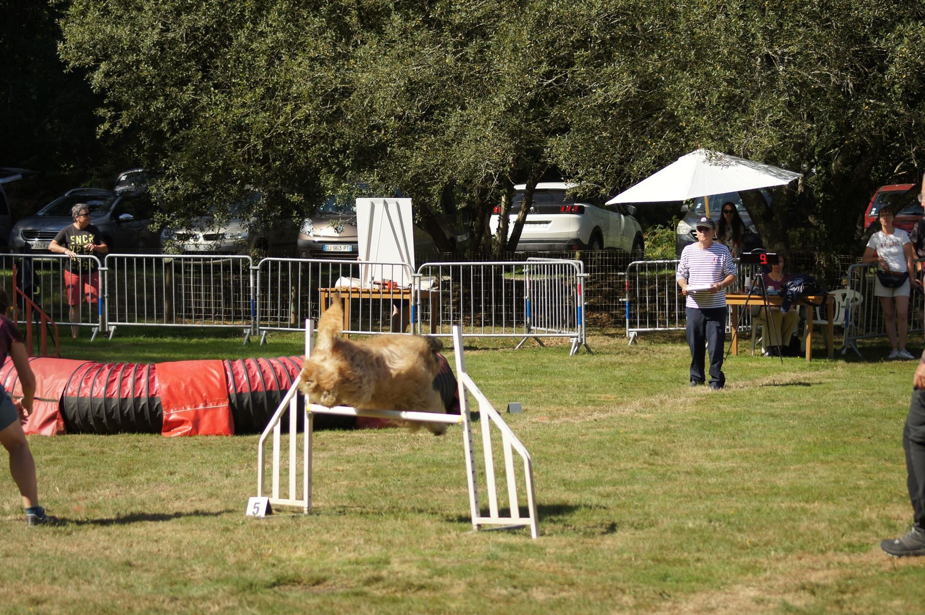 CONCOURS AGILITY 28 AOÛT 2022