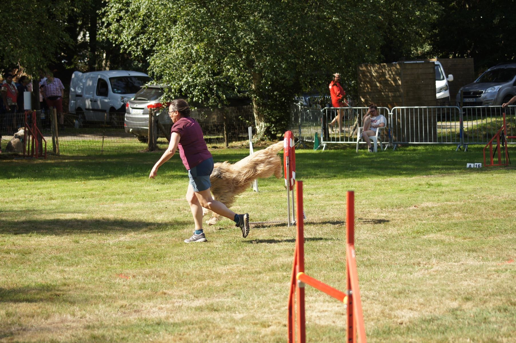 CONCOURS AGILITY 28 AOÛT 2022