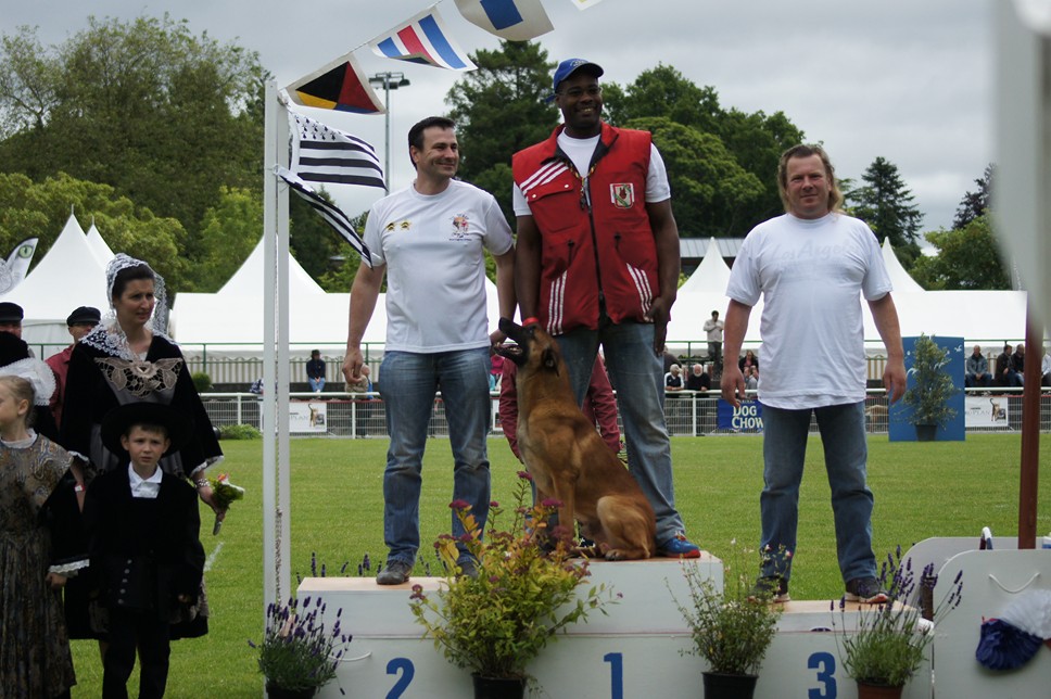 Championnat de France RING 29 ET 30 JUIN 2013 A QUIMPERLE