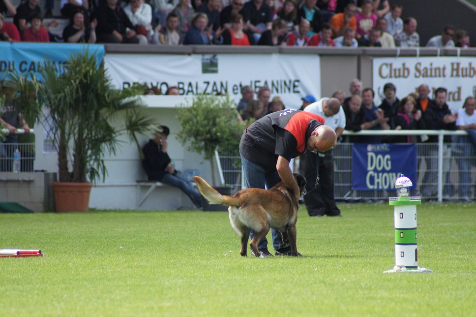 Championnat de France RING 29 ET 30 JUIN 2013 A QUIMPERLE