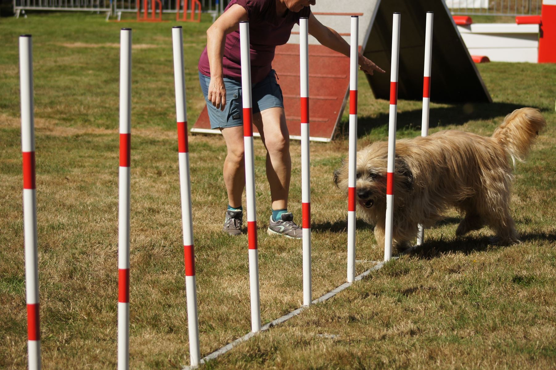 CONCOURS AGILITY 28 AOÛT 2022