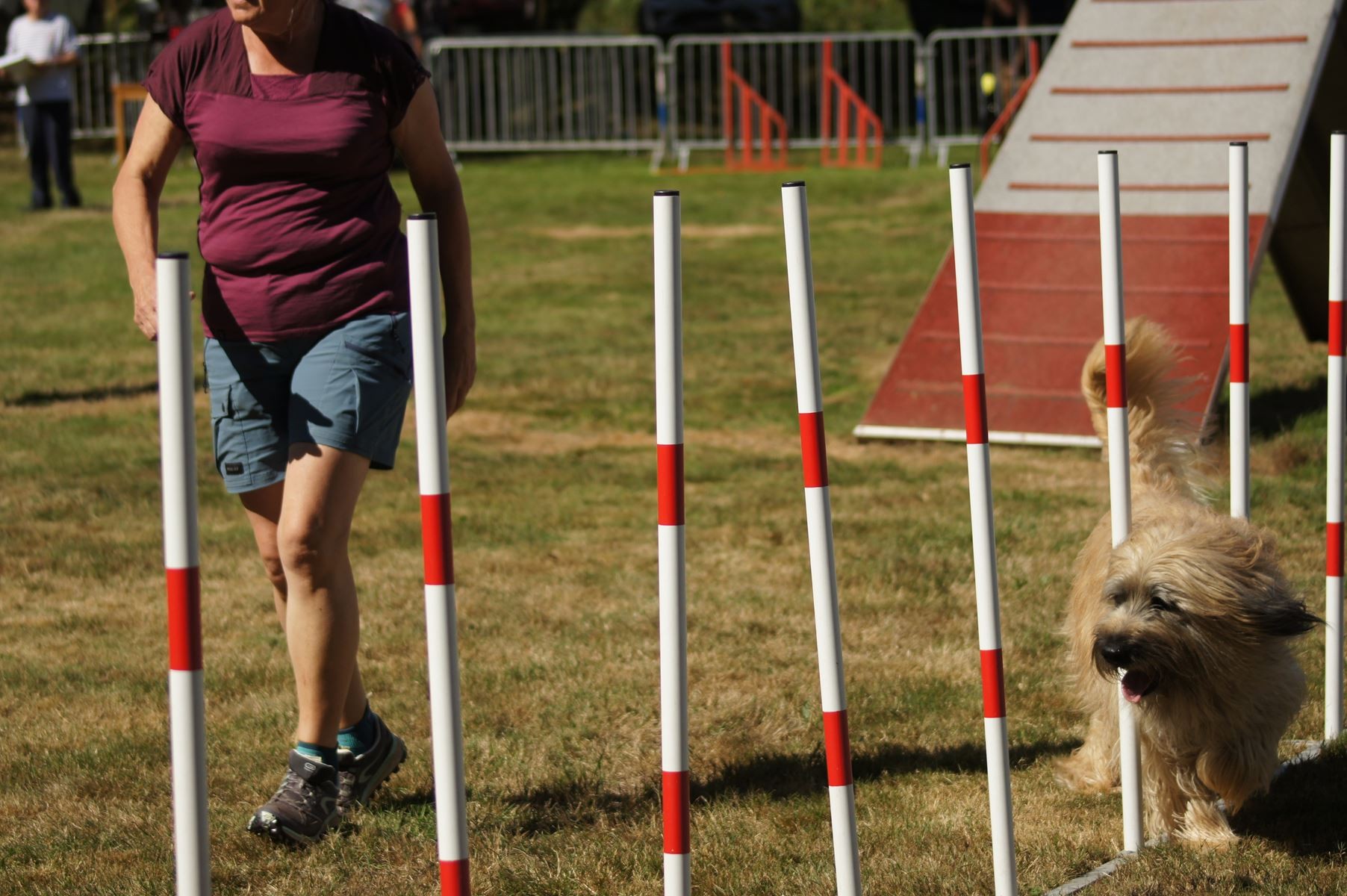 CONCOURS AGILITY 28 AOÛT 2022