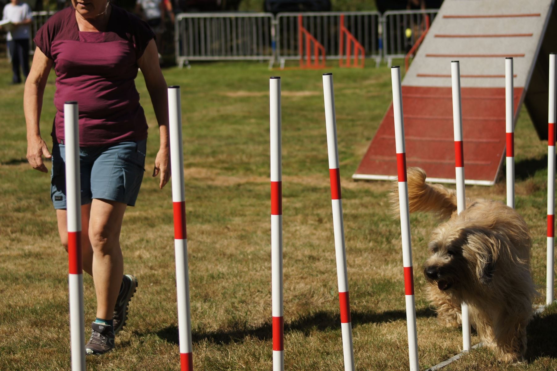 CONCOURS AGILITY 28 AOÛT 2022