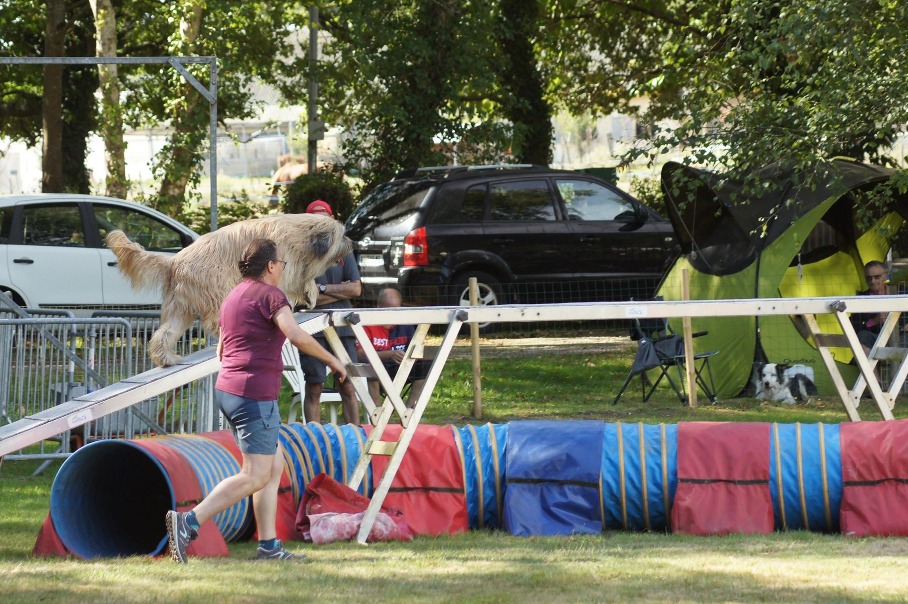 CONCOURS AGILITY 28 AOÛT 2022