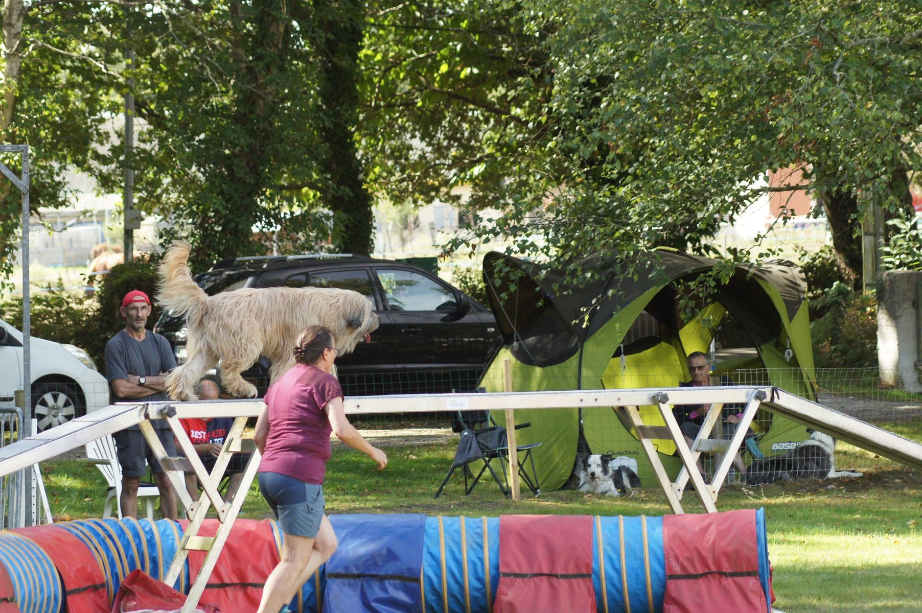 CONCOURS AGILITY 28 AOÛT 2022