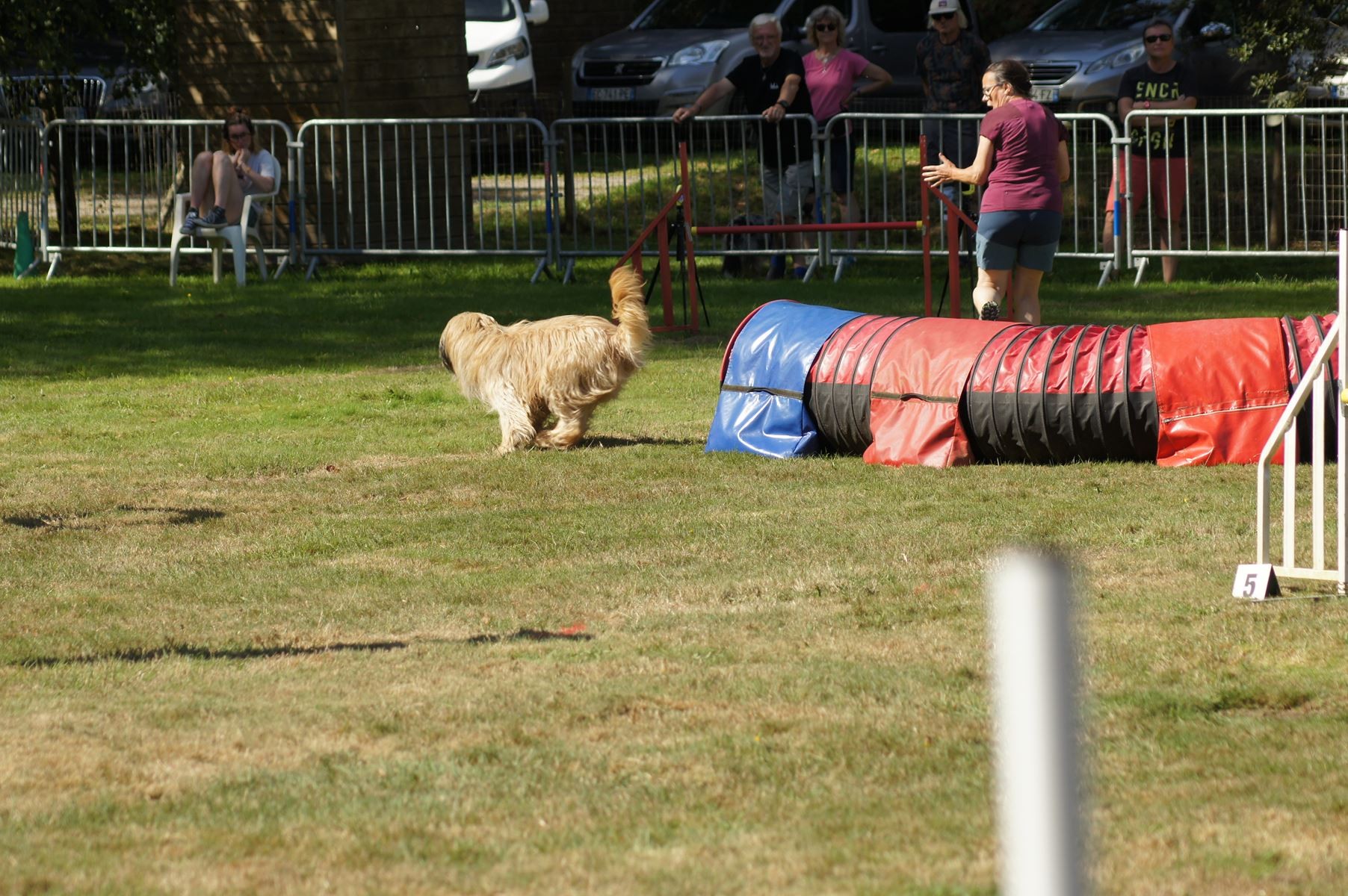 CONCOURS AGILITY 28 AOÛT 2022