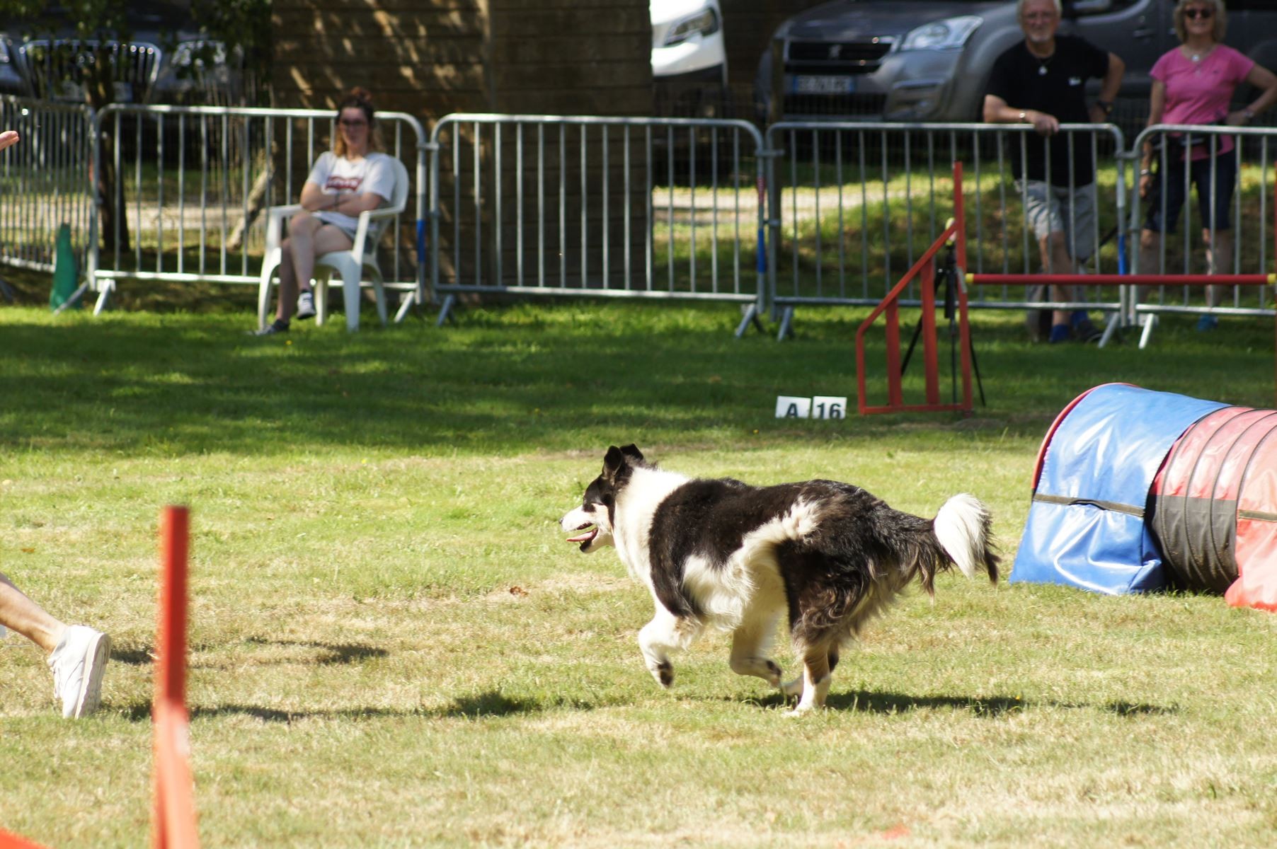 CONCOURS AGILITY 28 AOÛT 2022