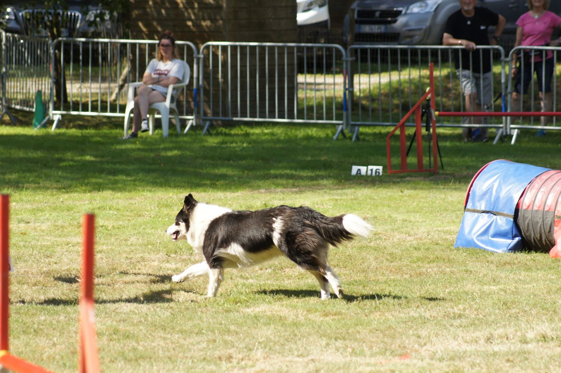 CONCOURS AGILITY 28 AOÛT 2022