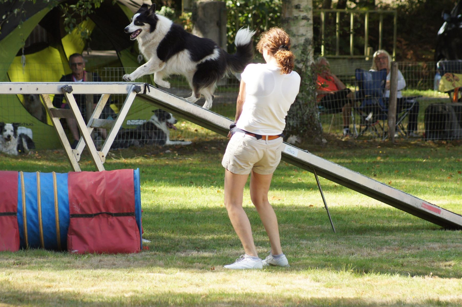 CONCOURS AGILITY 28 AOÛT 2022