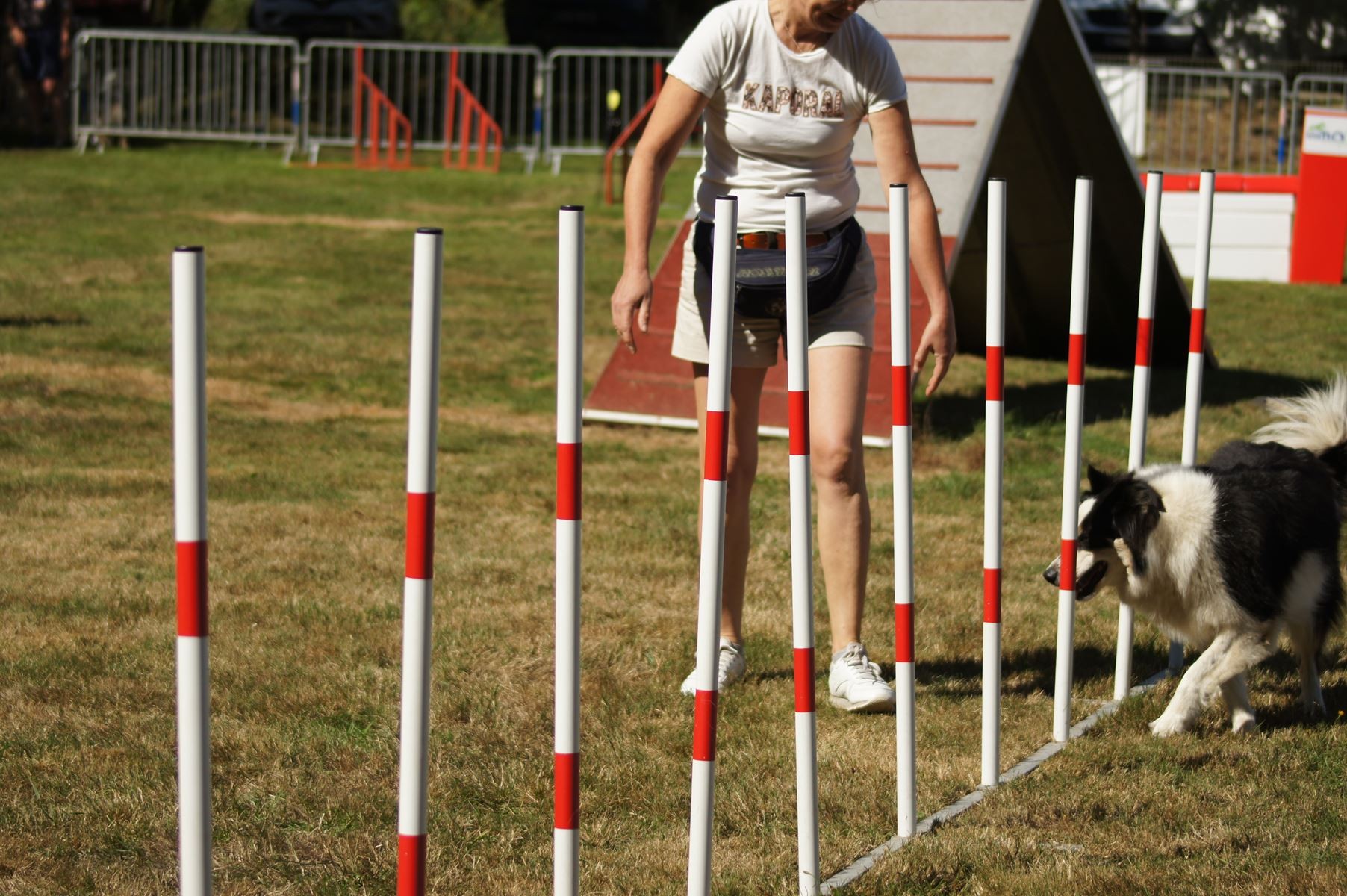 CONCOURS AGILITY 28 AOÛT 2022