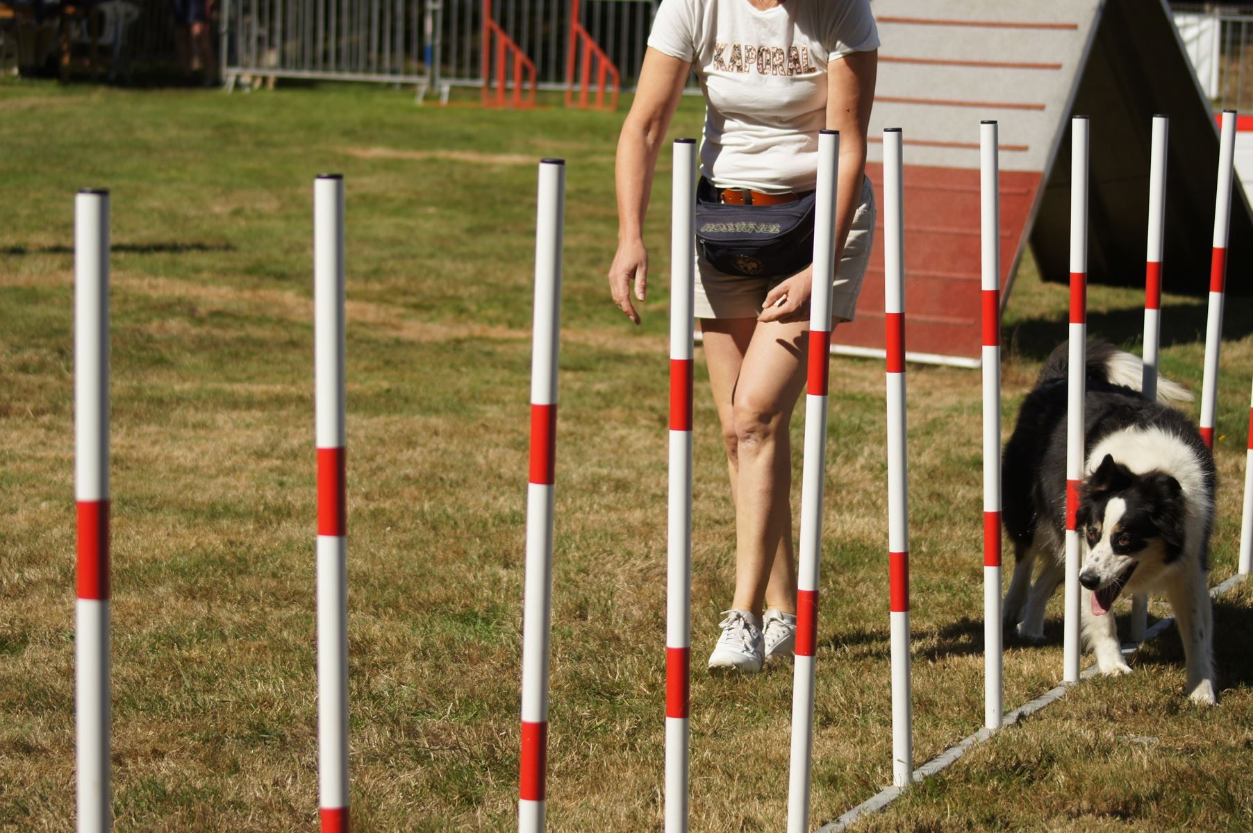 CONCOURS AGILITY 28 AOÛT 2022