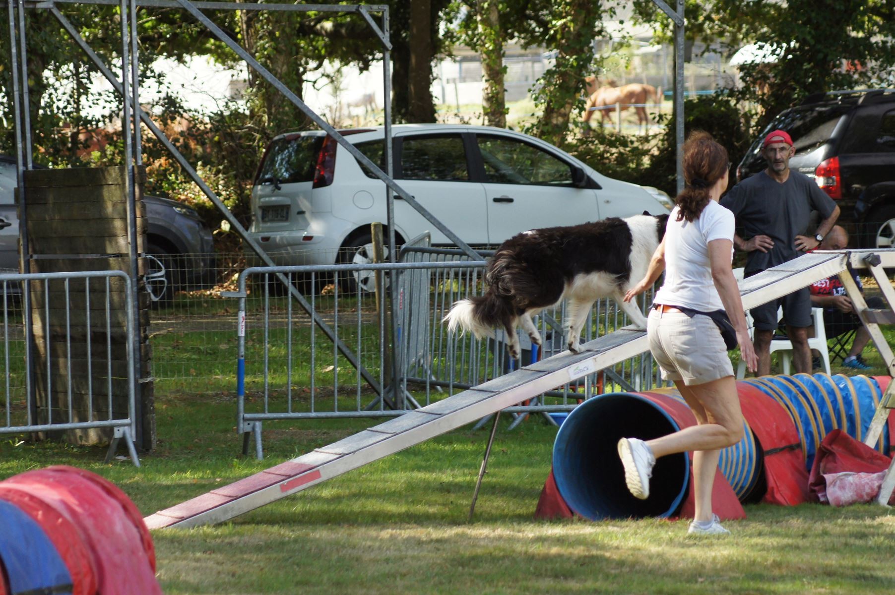 CONCOURS AGILITY 28 AOÛT 2022