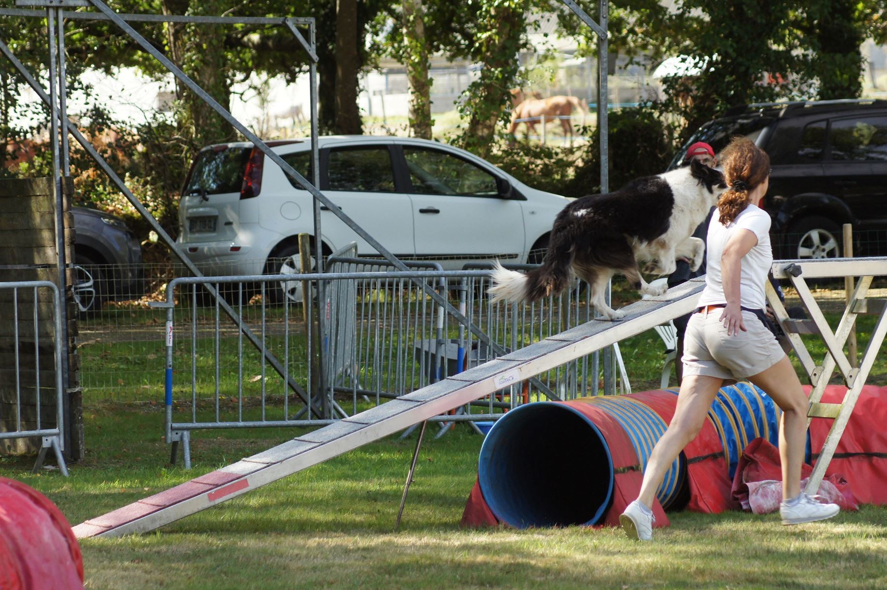 CONCOURS AGILITY 28 AOÛT 2022