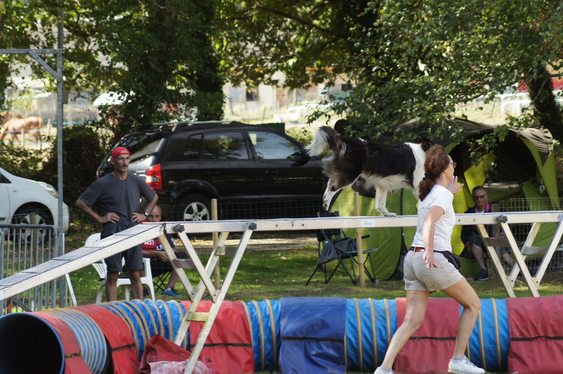 CONCOURS AGILITY 28 AOÛT 2022