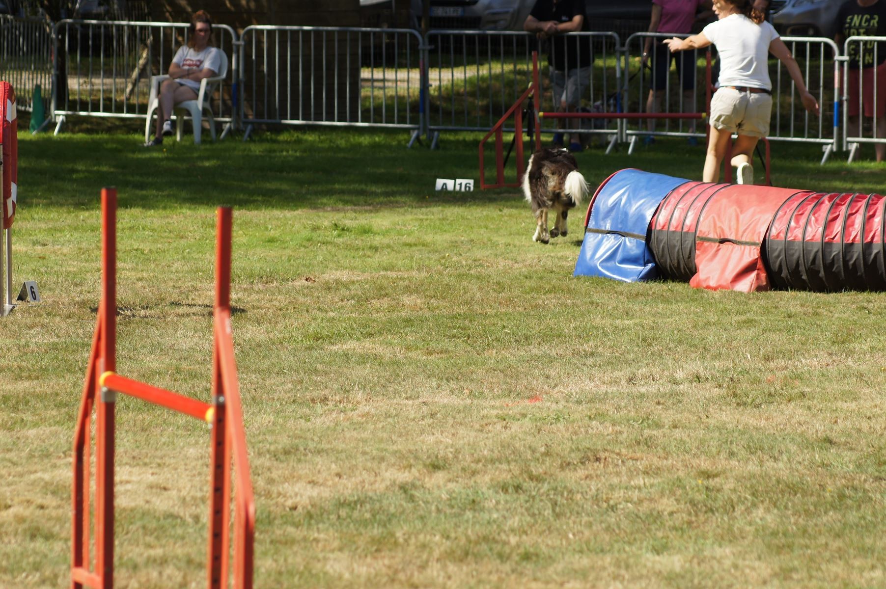 CONCOURS AGILITY 28 AOÛT 2022