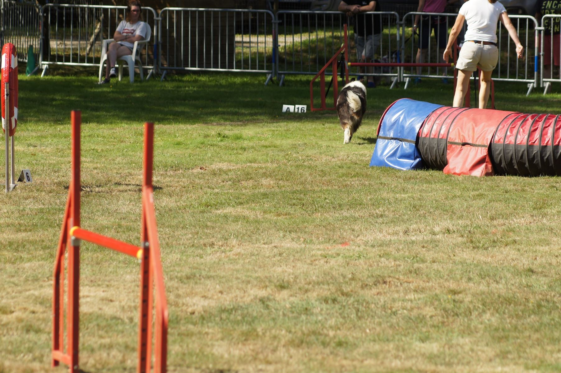 CONCOURS AGILITY 28 AOÛT 2022