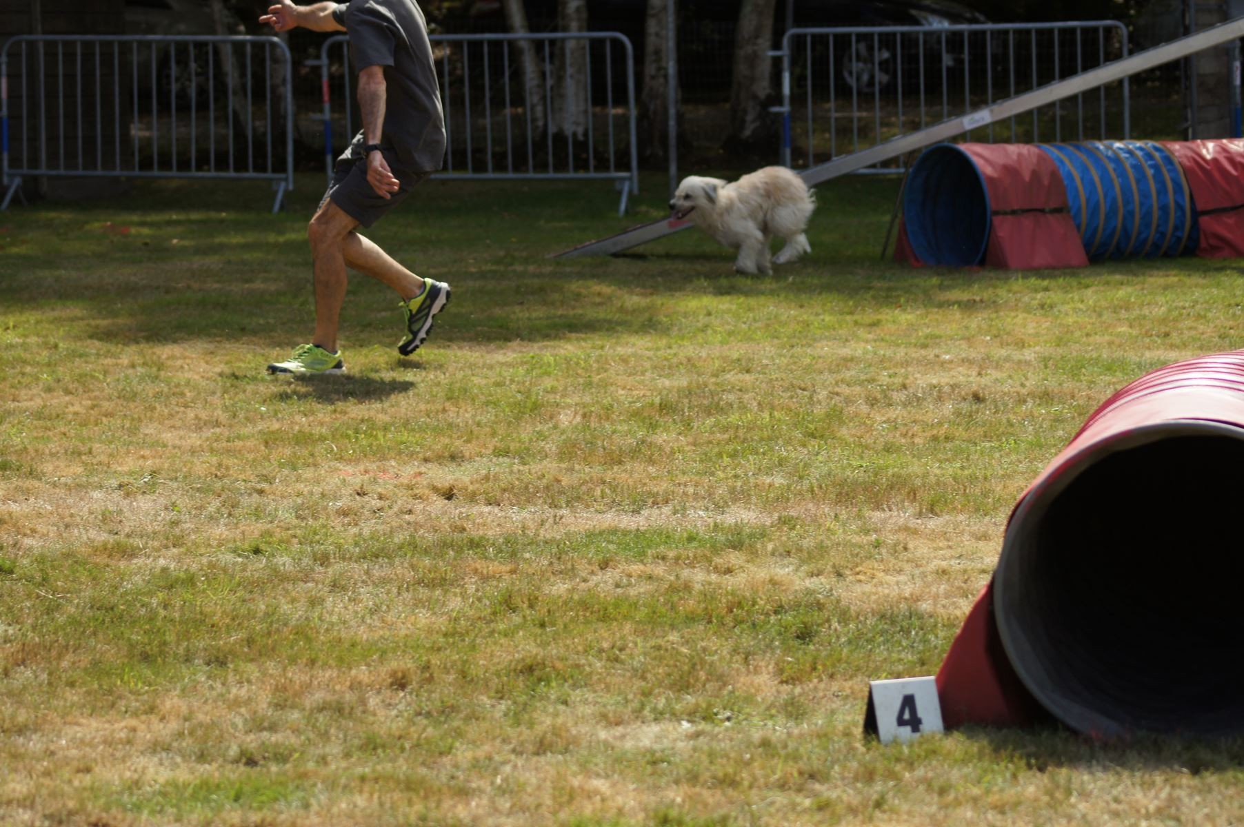 CONCOURS AGILITY 28 AOÛT 2022