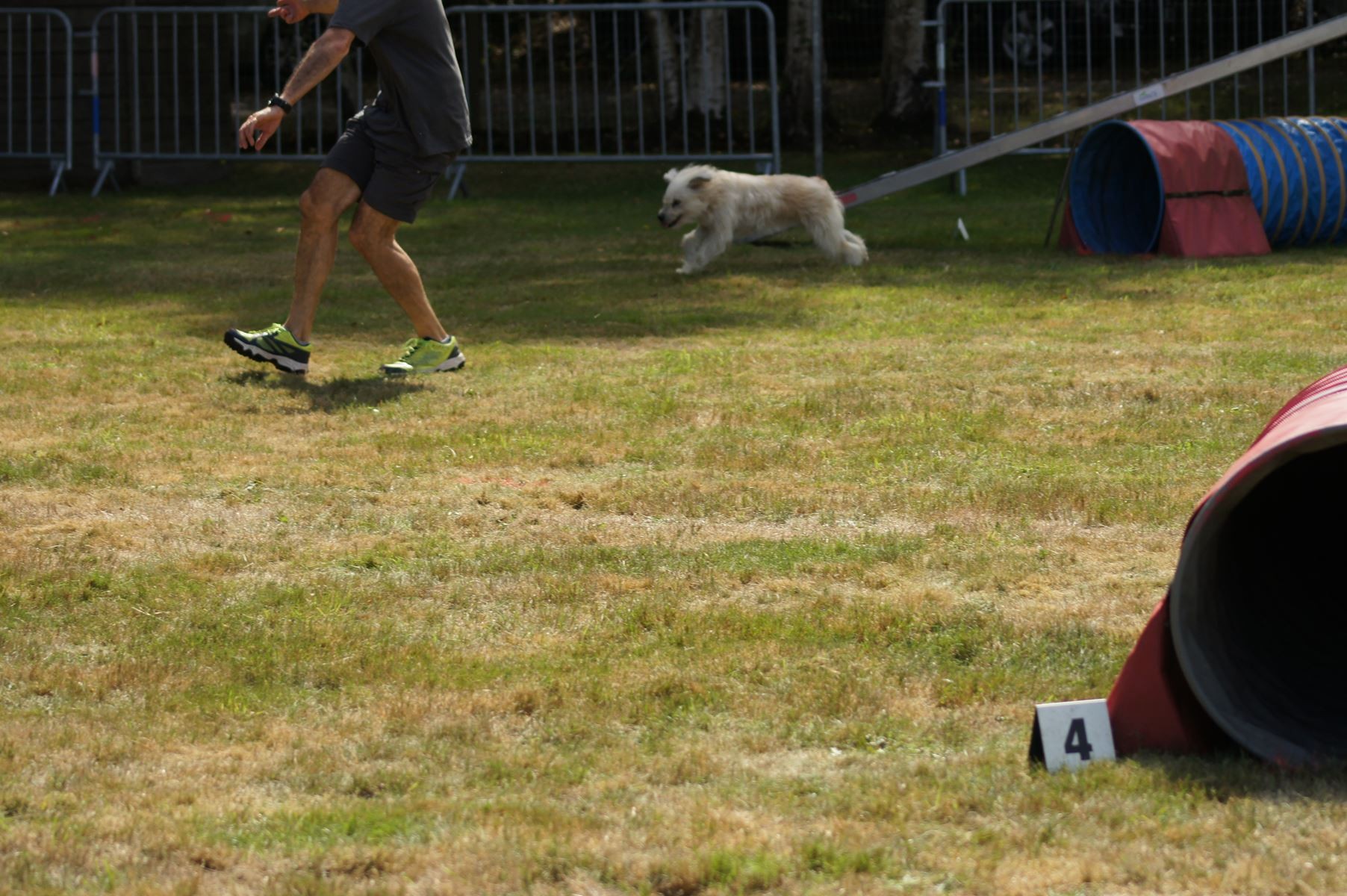 CONCOURS AGILITY 28 AOÛT 2022