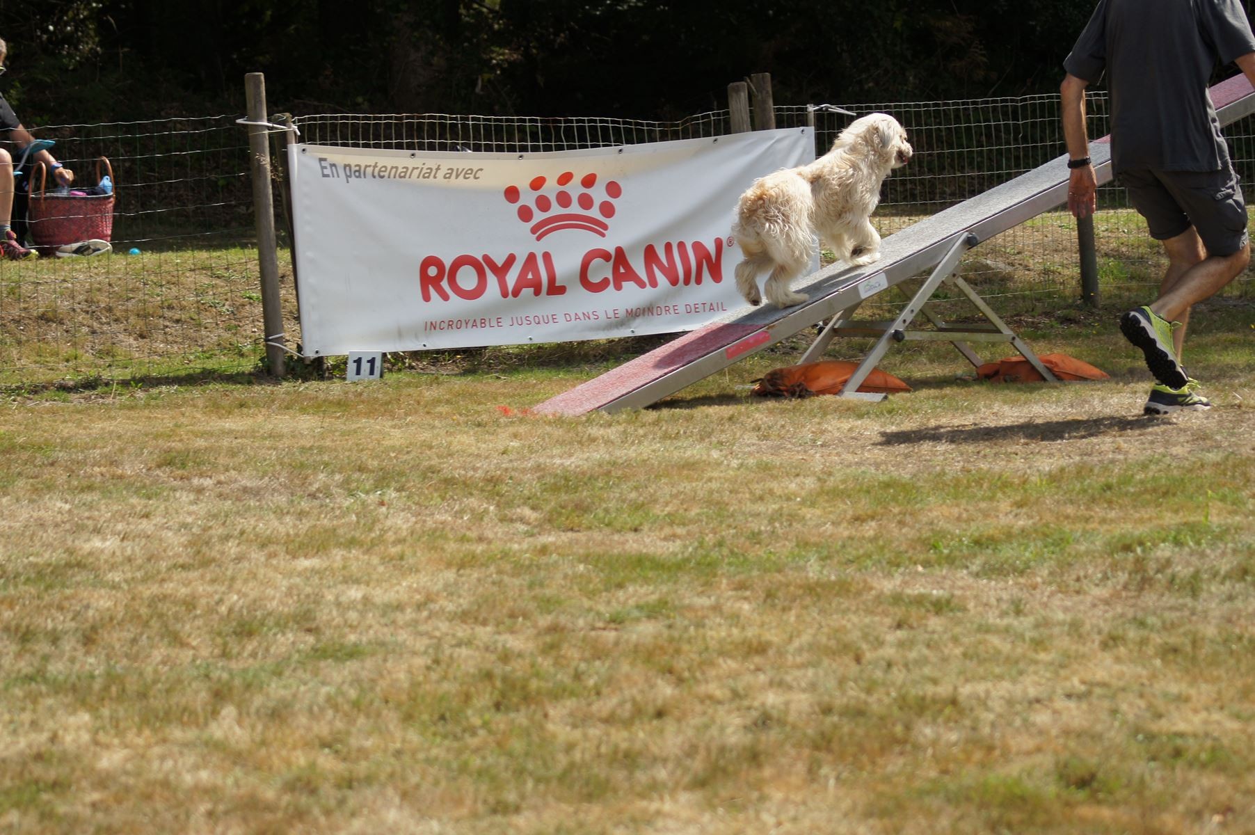 CONCOURS AGILITY 28 AOÛT 2022