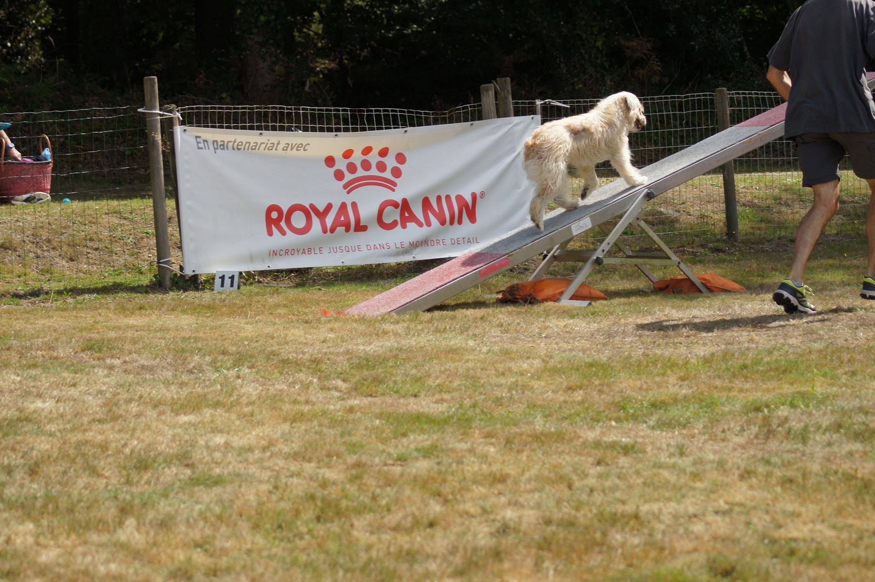 CONCOURS AGILITY 28 AOÛT 2022