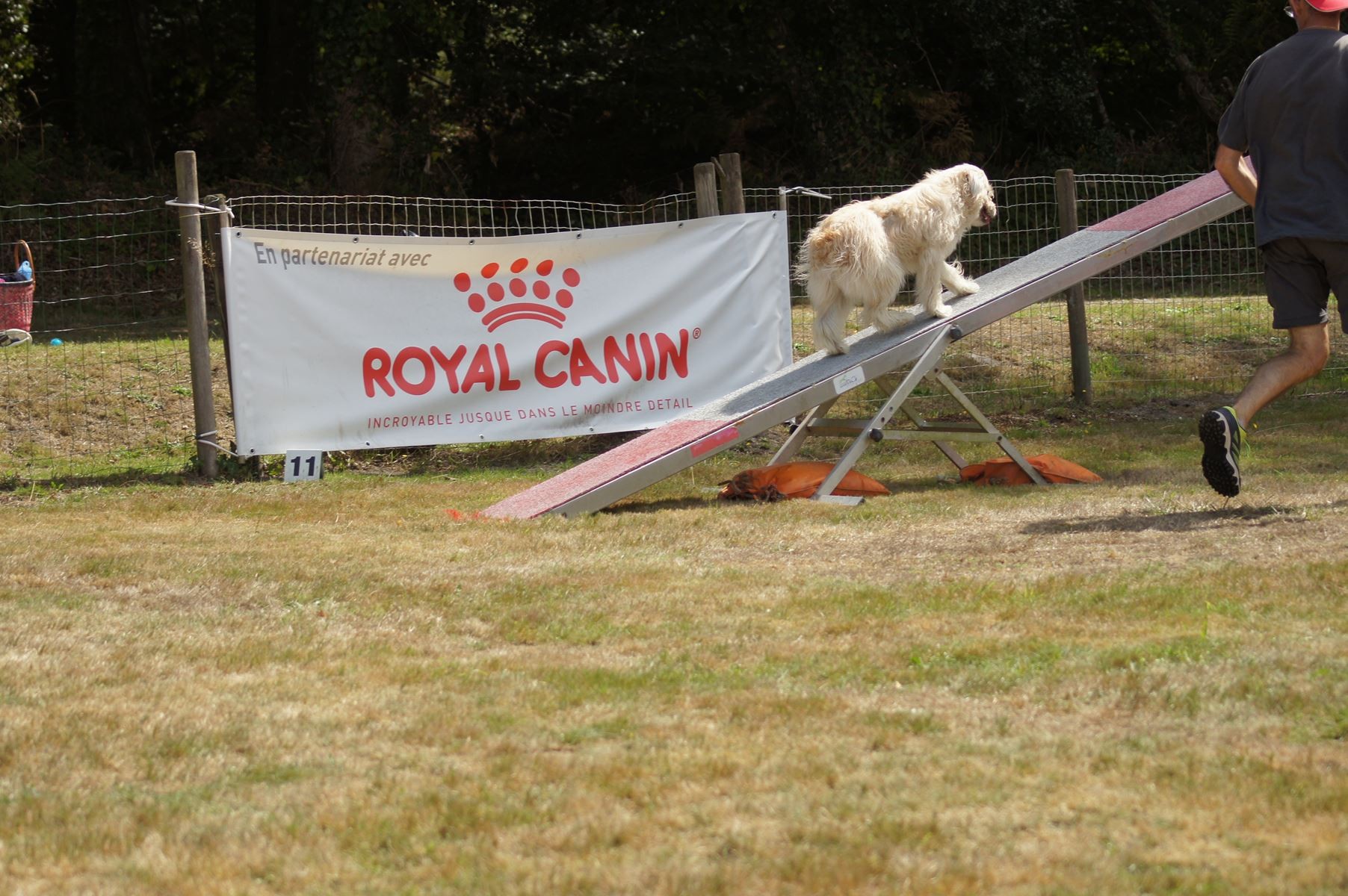 CONCOURS AGILITY 28 AOÛT 2022