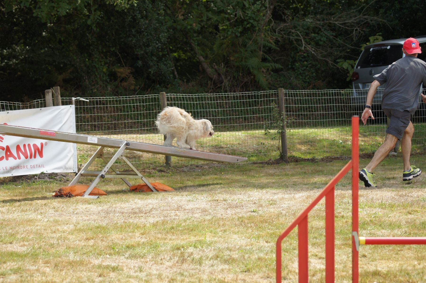 CONCOURS AGILITY 28 AOÛT 2022