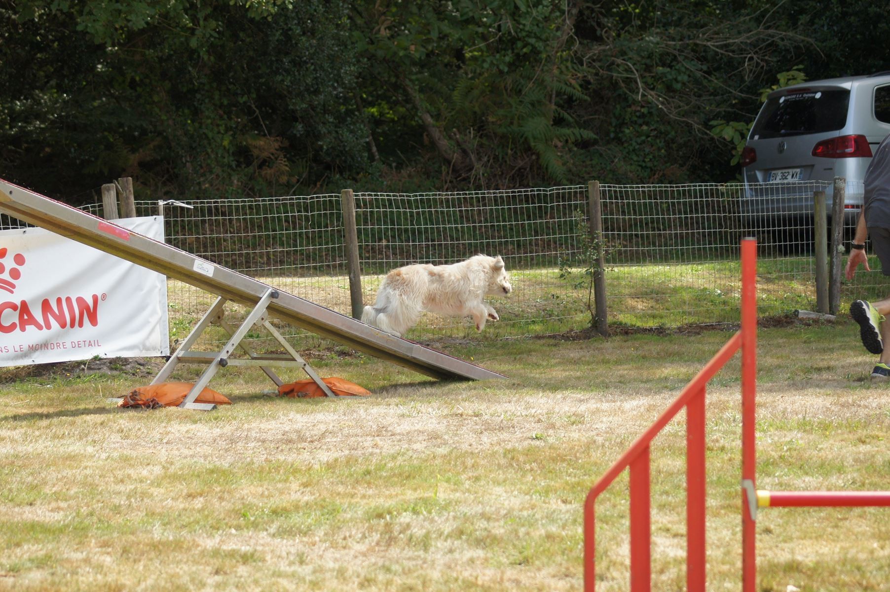 CONCOURS AGILITY 28 AOÛT 2022