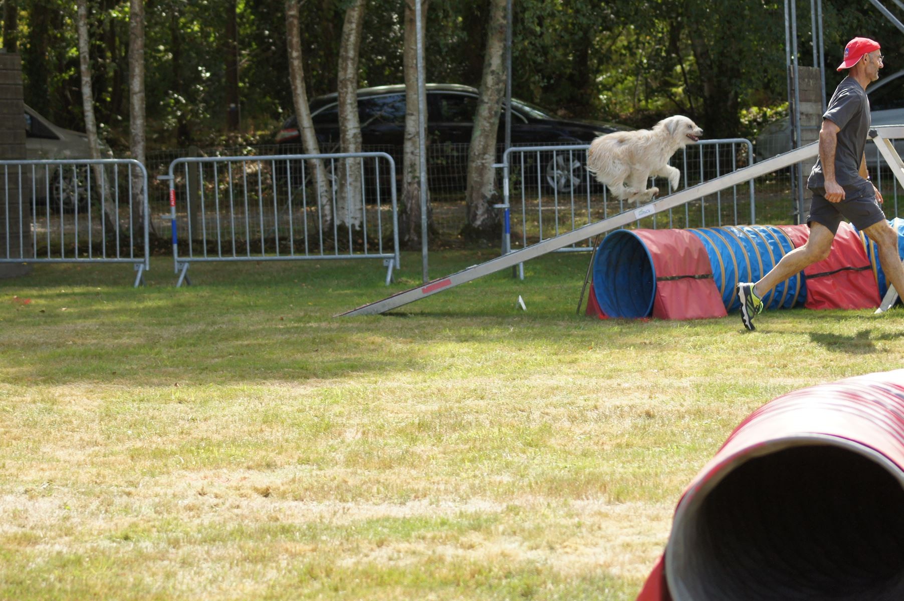 CONCOURS AGILITY 28 AOÛT 2022