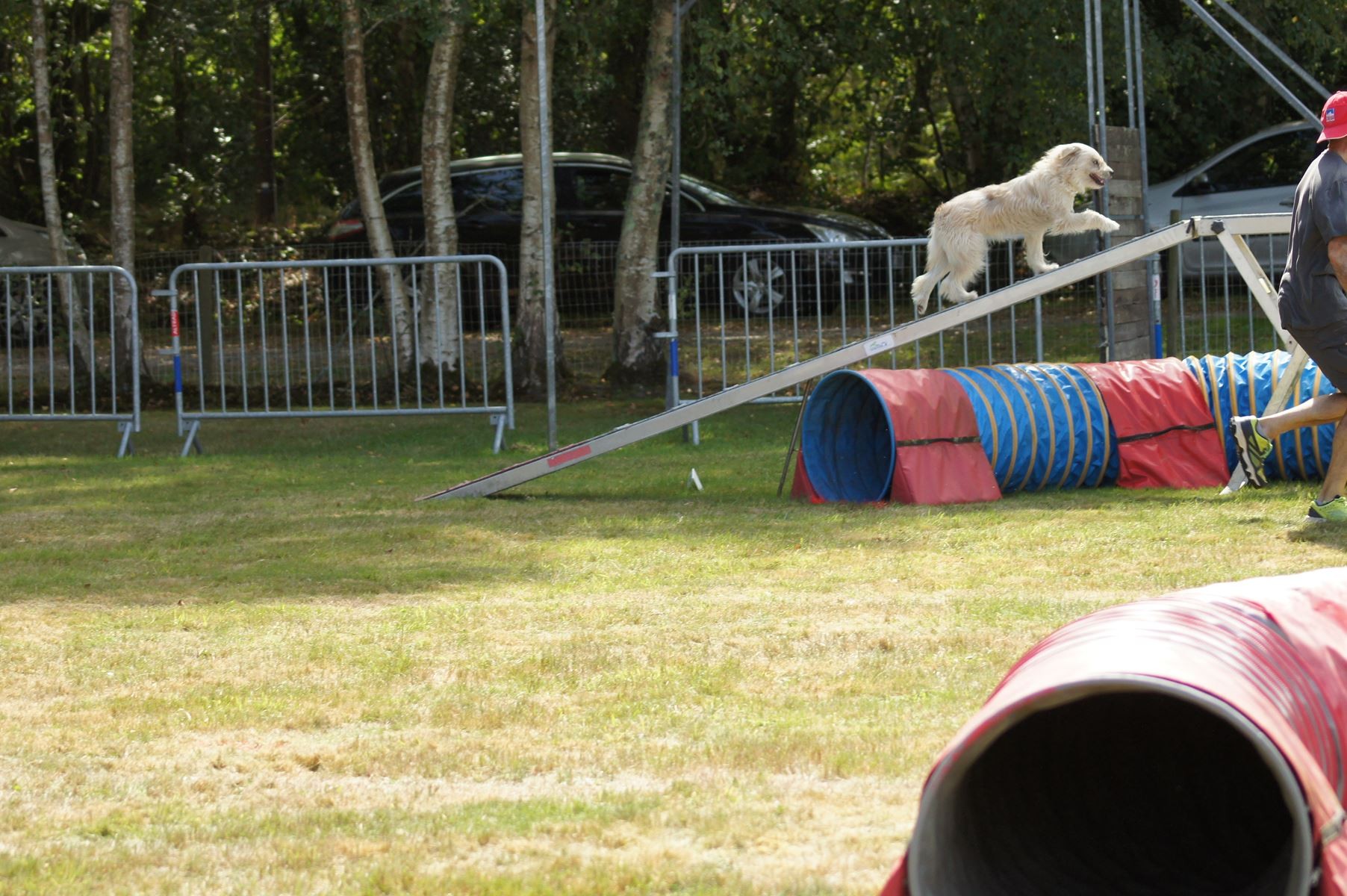 CONCOURS AGILITY 28 AOÛT 2022