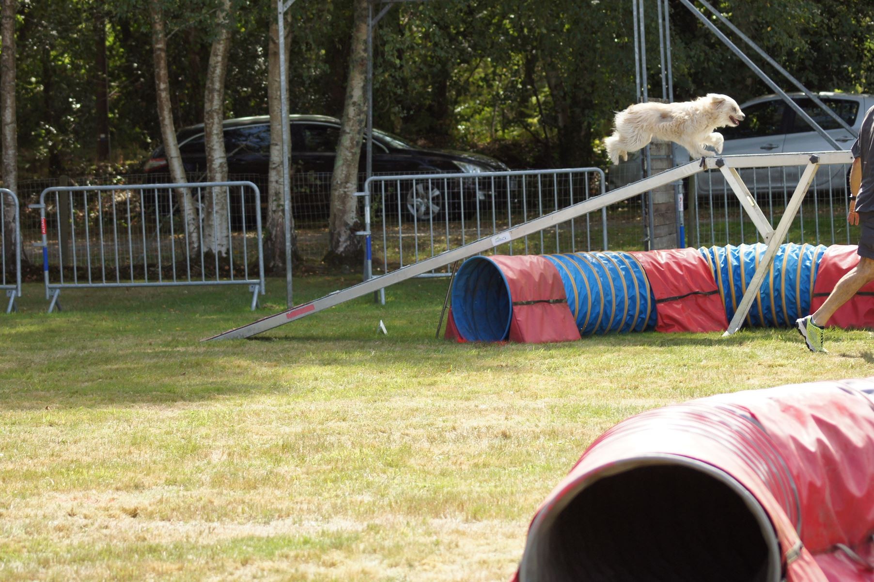 CONCOURS AGILITY 28 AOÛT 2022