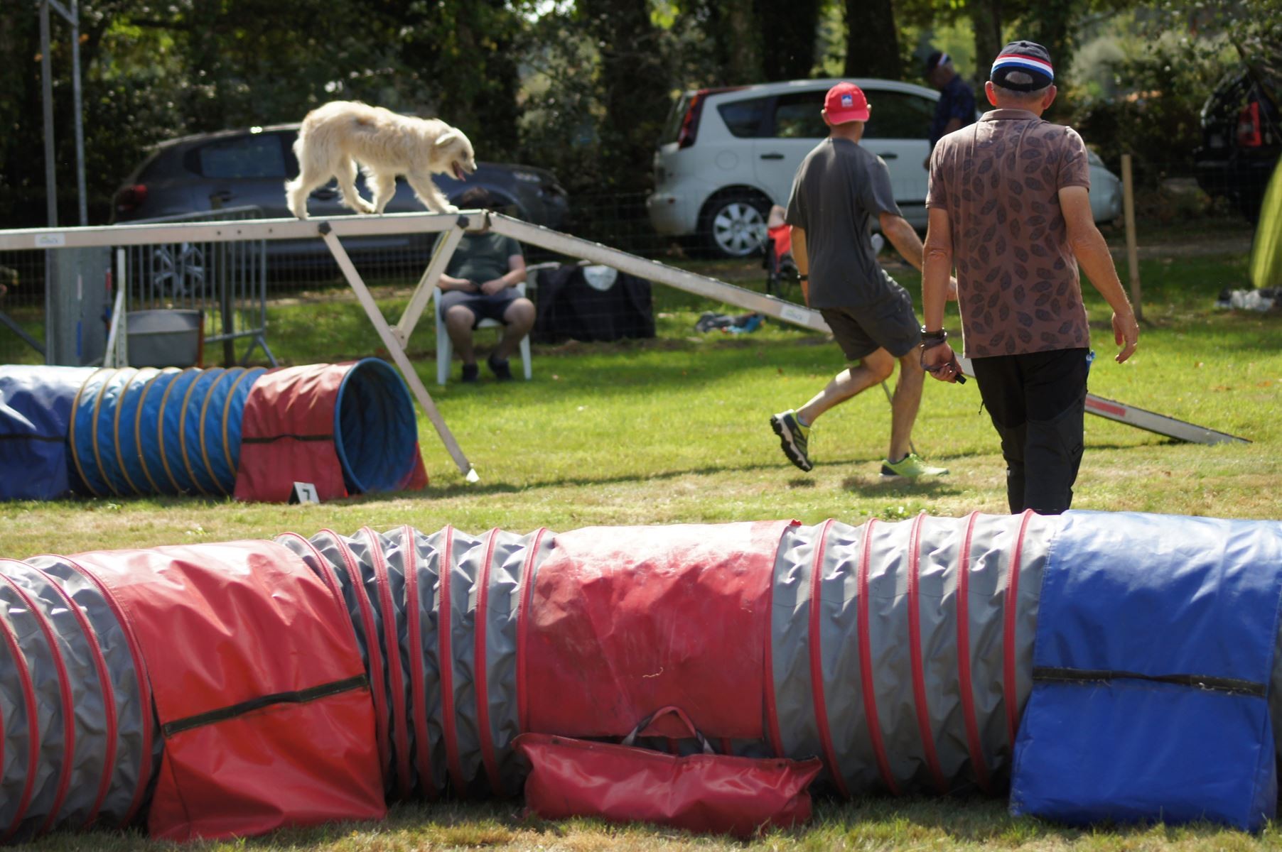 CONCOURS AGILITY 28 AOÛT 2022